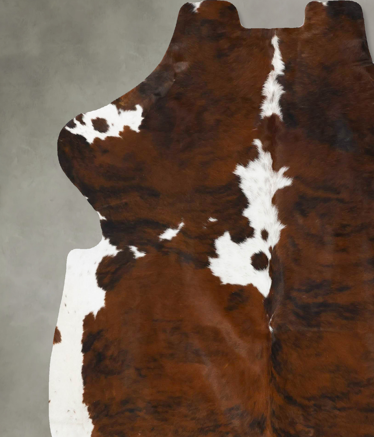 Tricolor X-Large European Cowhide Rug 7'0"H x 6'4"W #B23635 by Hudson Hides