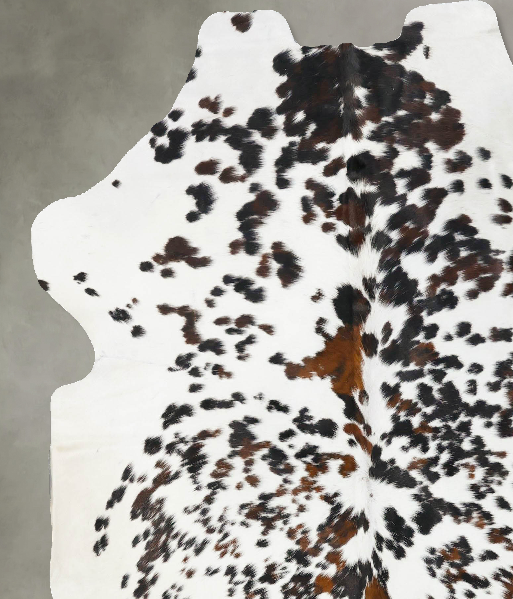 Tricolor Cowhide Rug #B23638