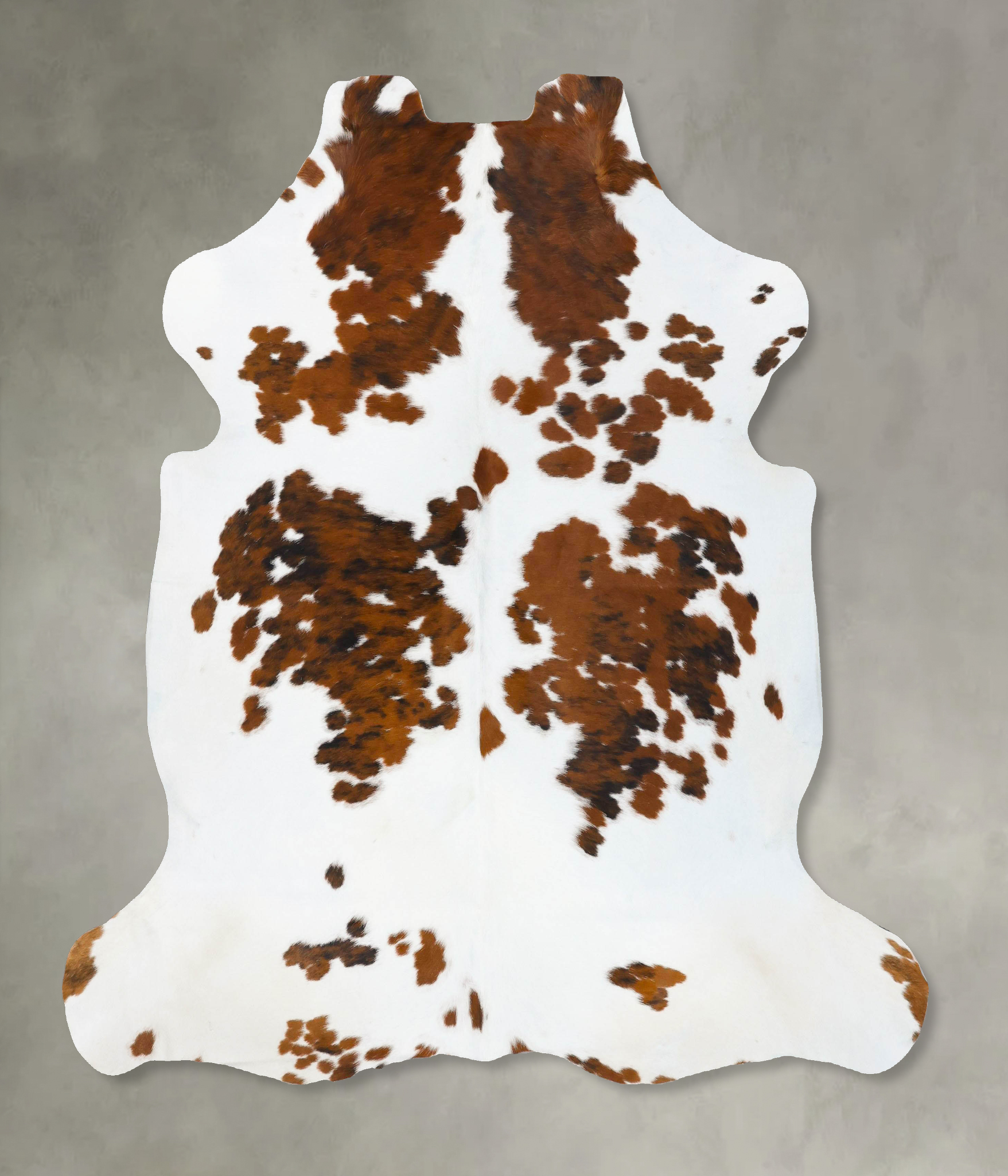 Tricolor Cowhide Rug #B23639
