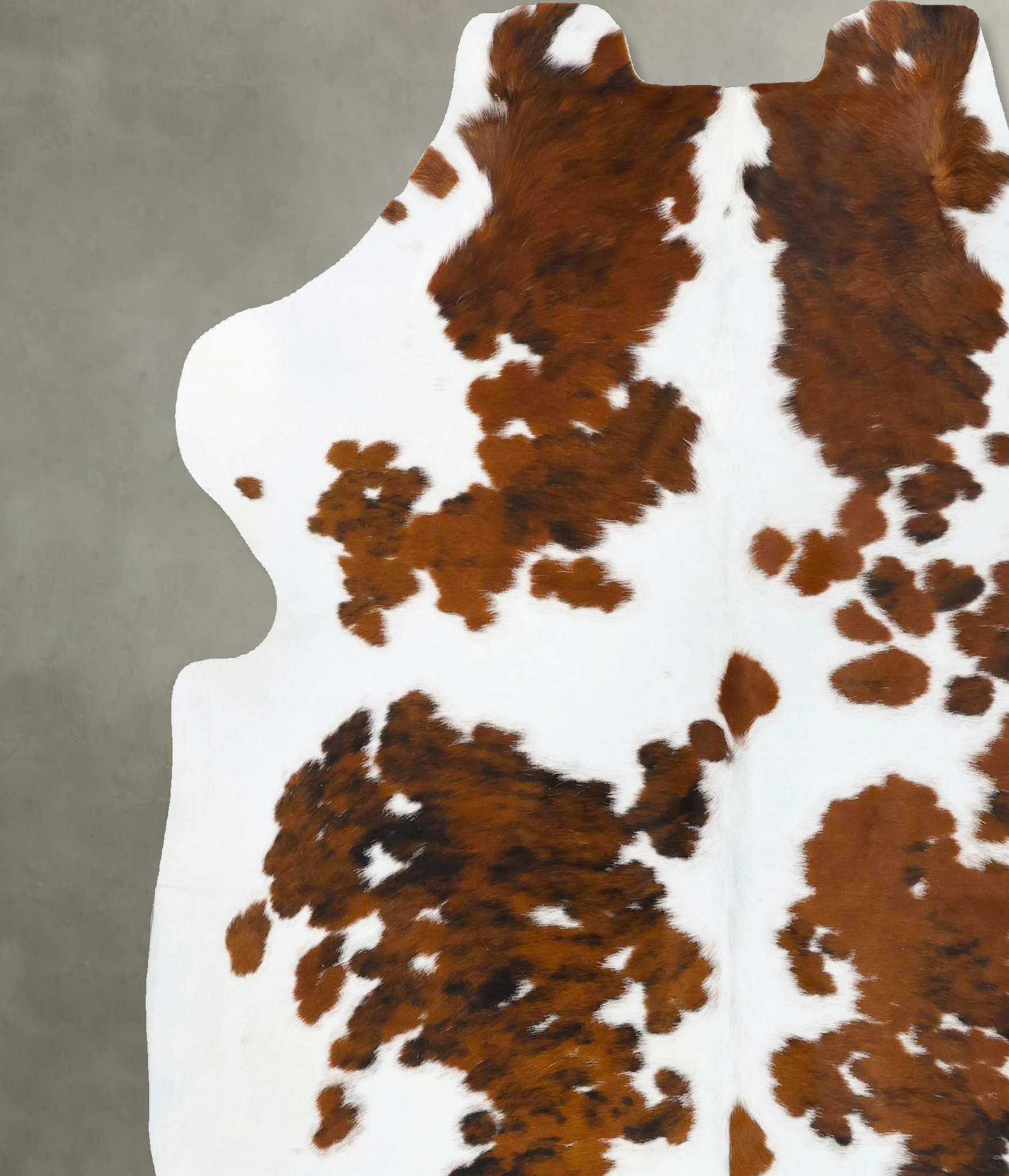 Tricolor Cowhide Rug #B23639