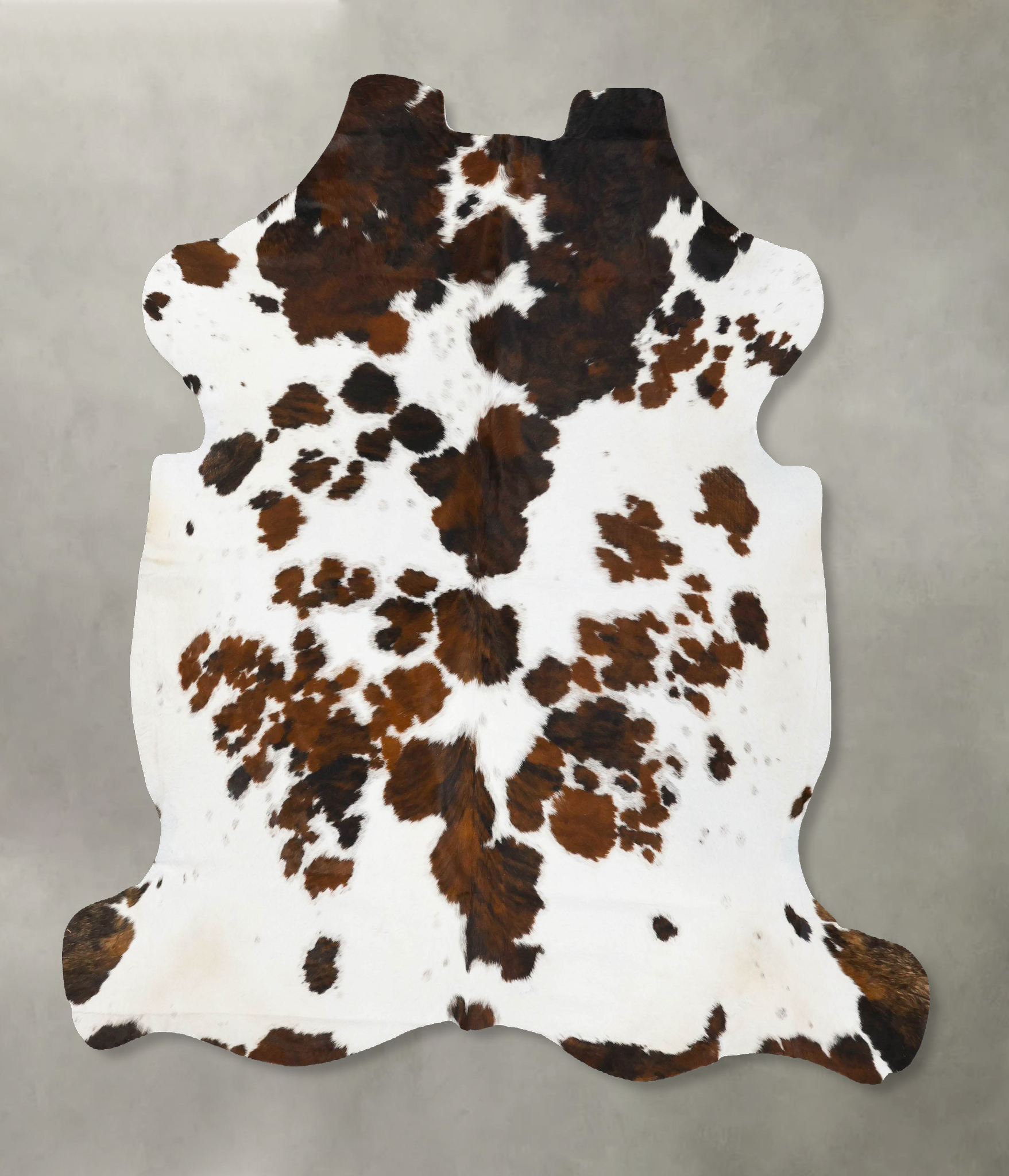Tricolor Cowhide Rug #B23641
