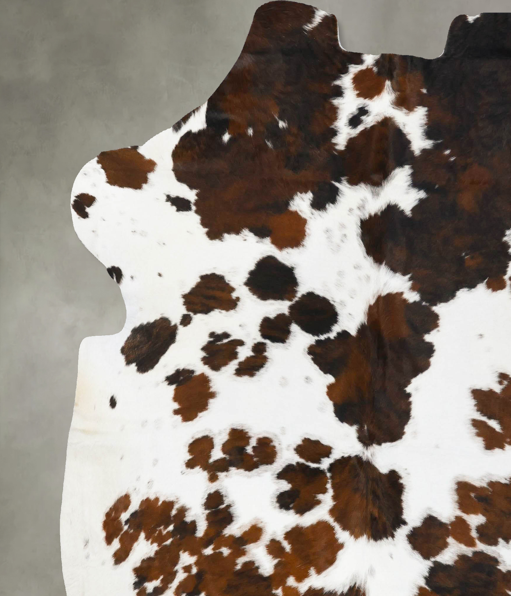 Tricolor Cowhide Rug #B23641