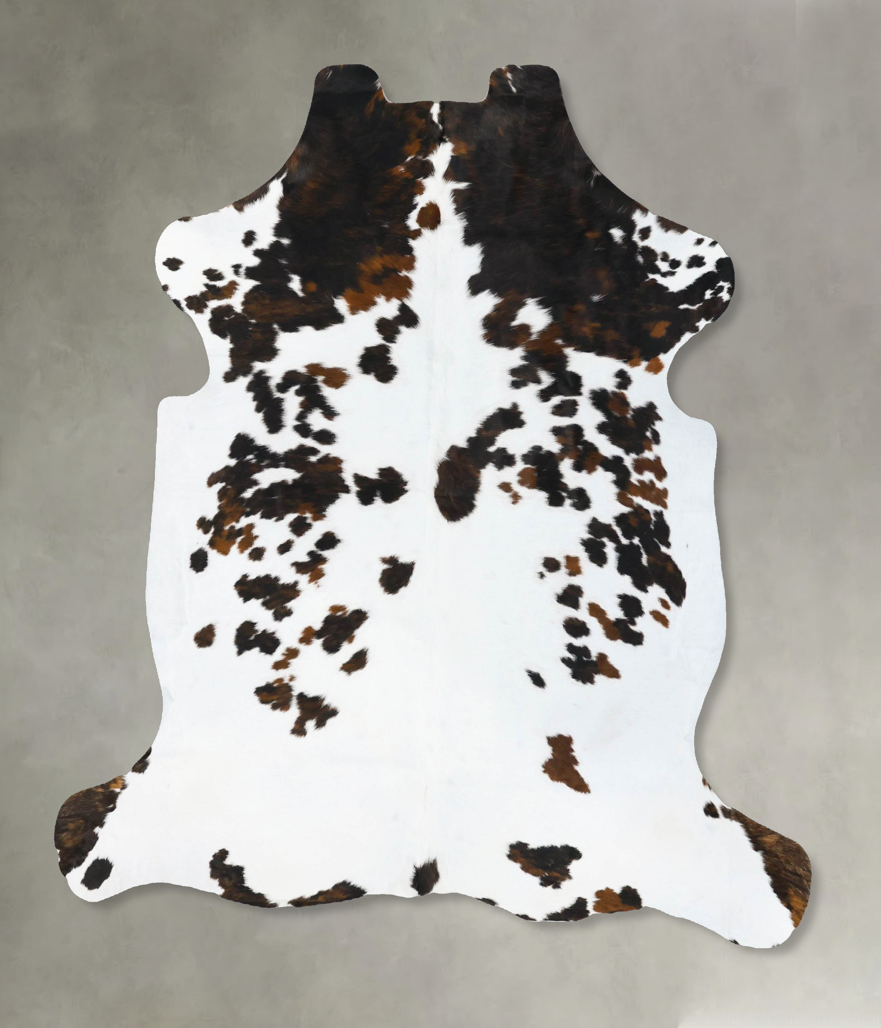 Tricolor Cowhide Rug #B23642