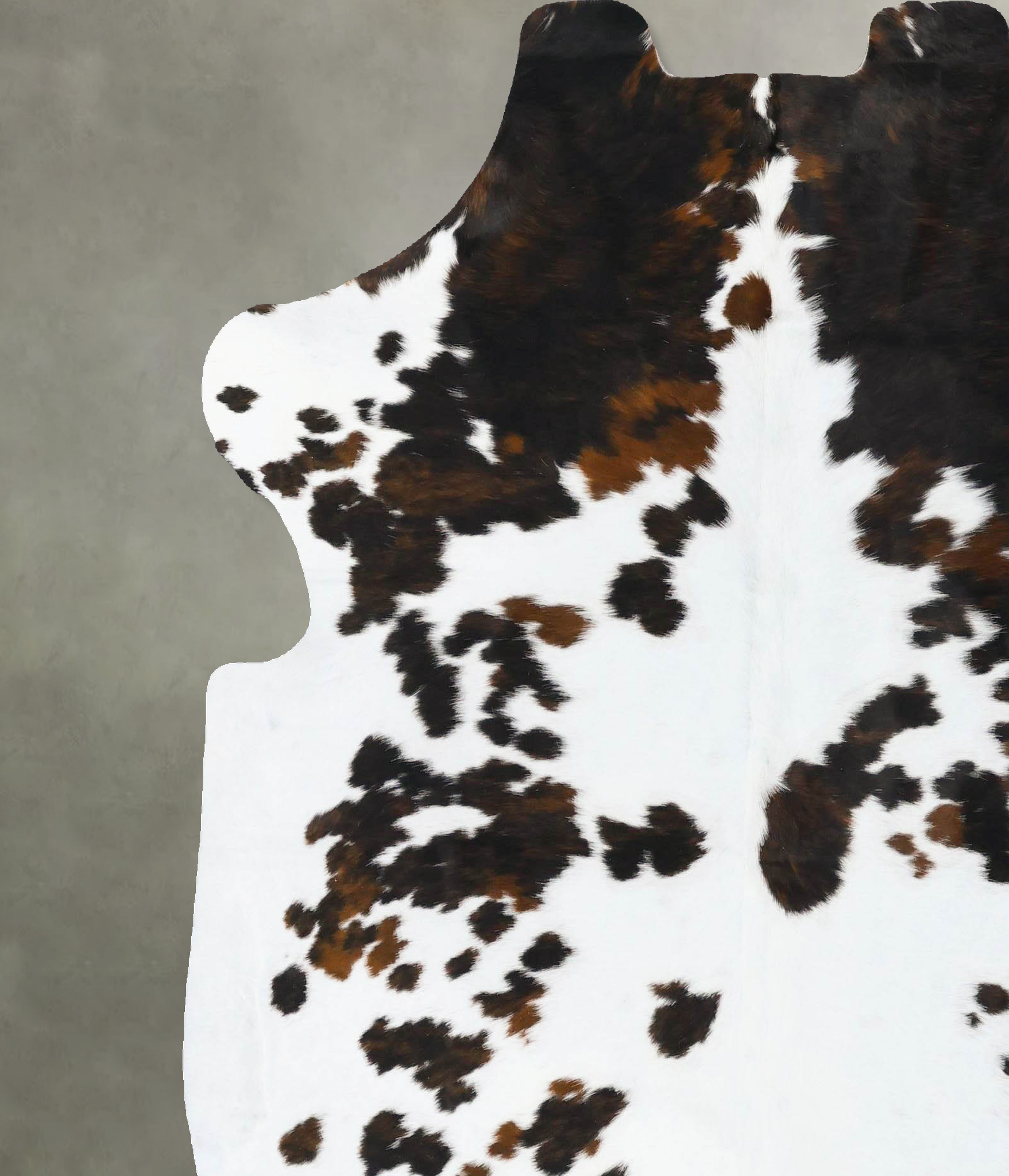 Tricolor Cowhide Rug #B23642
