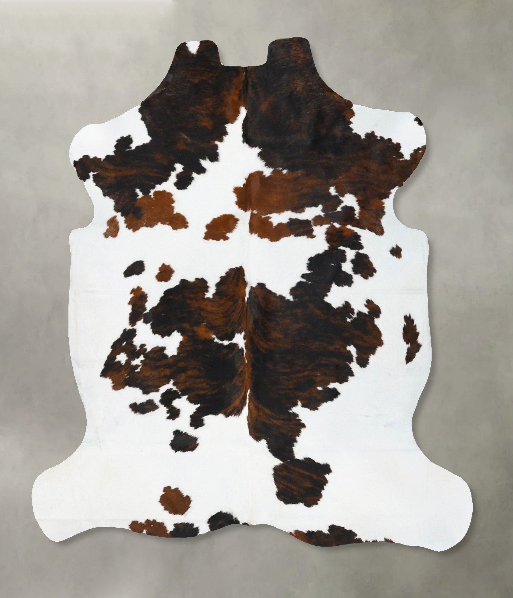 Tricolor Cowhide Rug #B23646