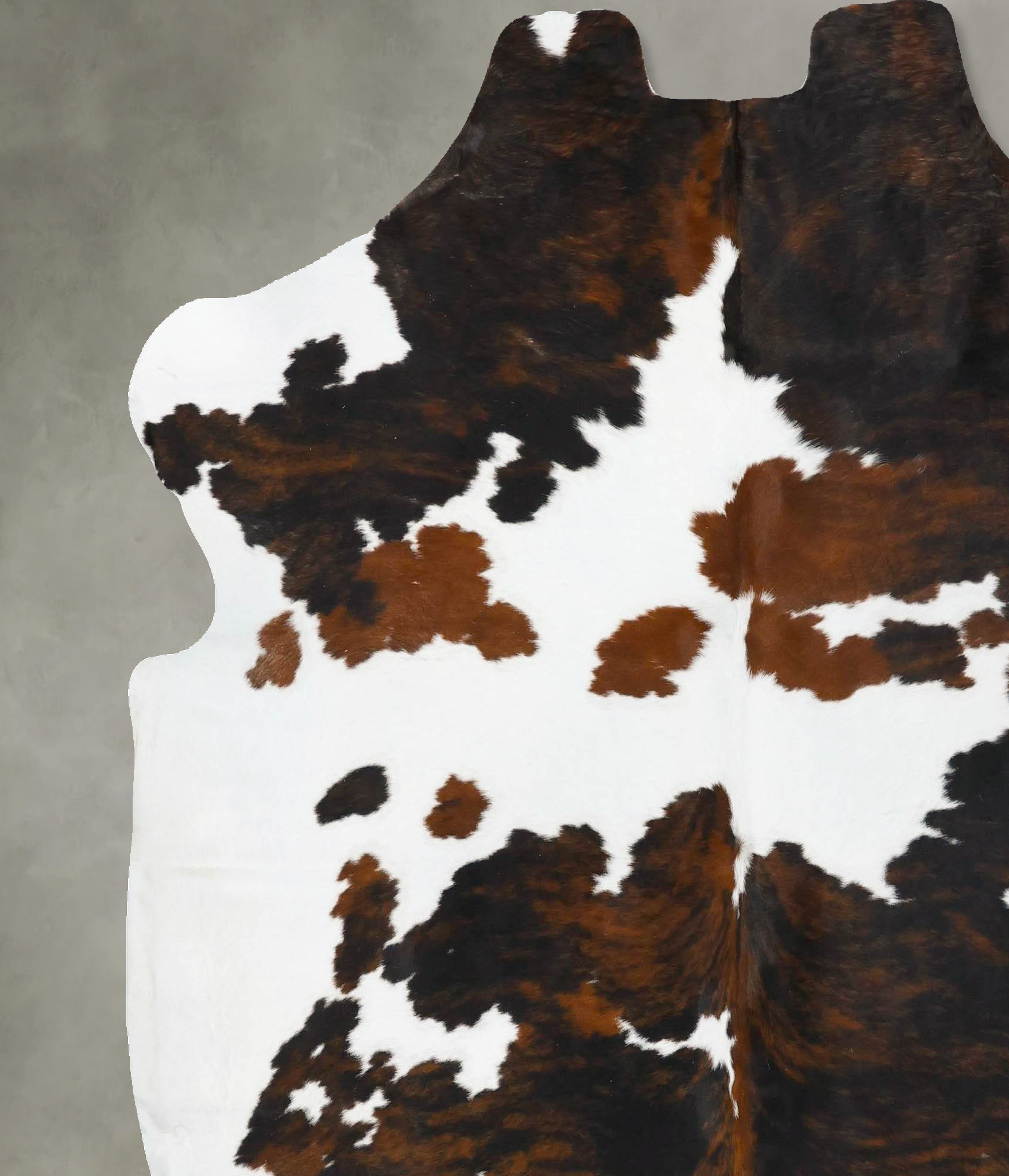 Tricolor Cowhide Rug #B23646