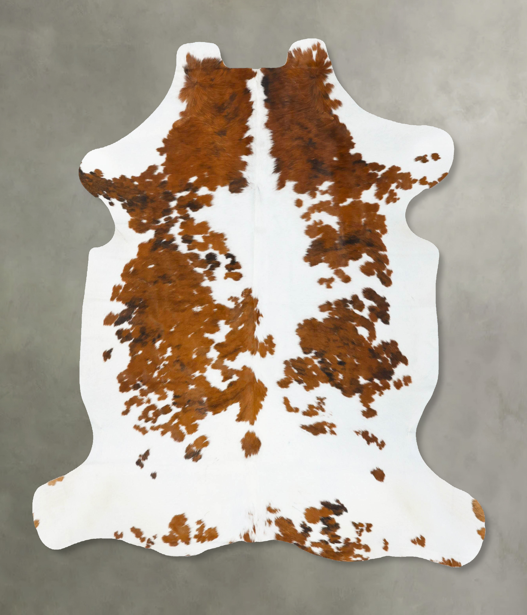 Tricolor Cowhide Rug #B23647