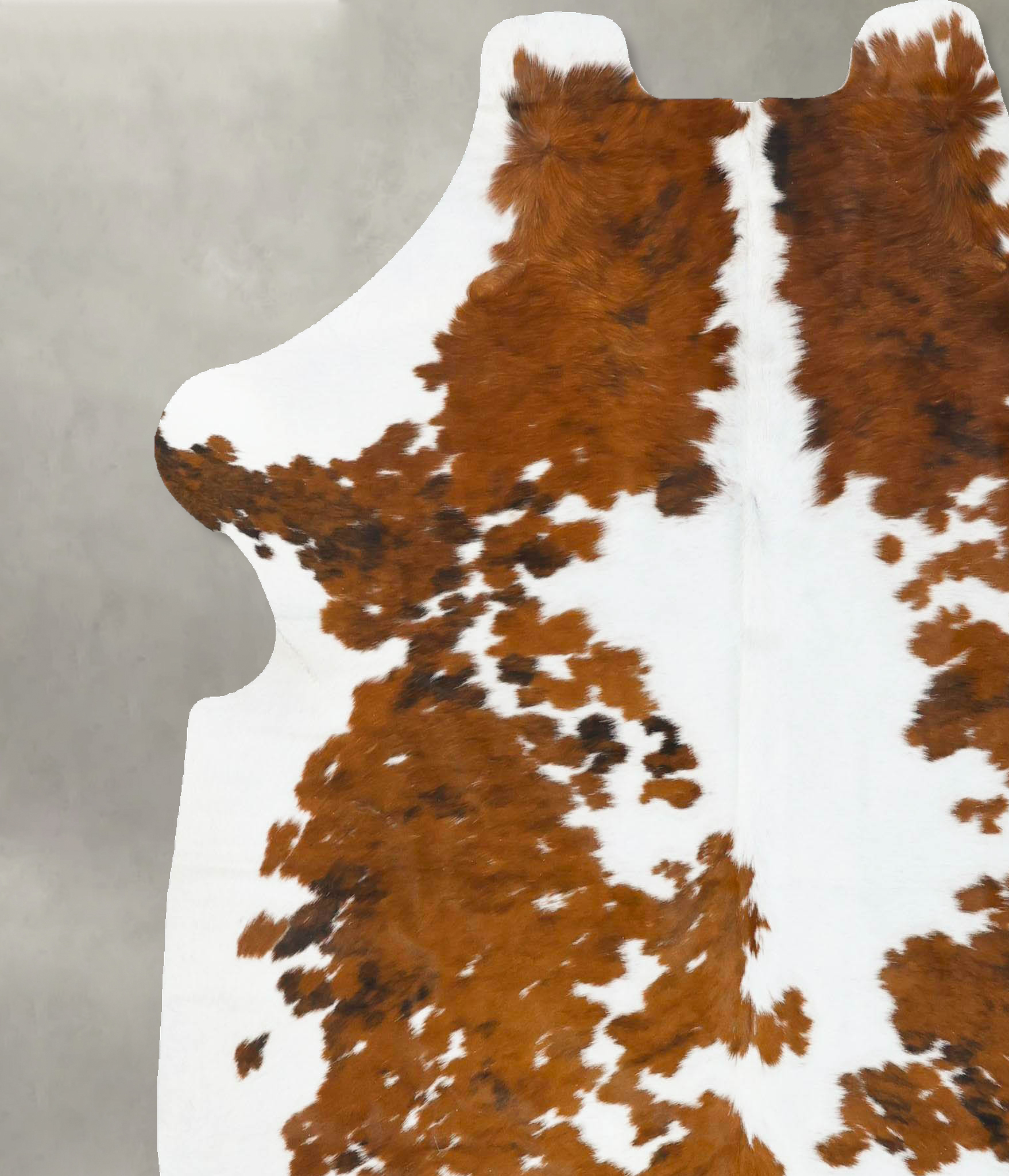 Tricolor Cowhide Rug #B23647