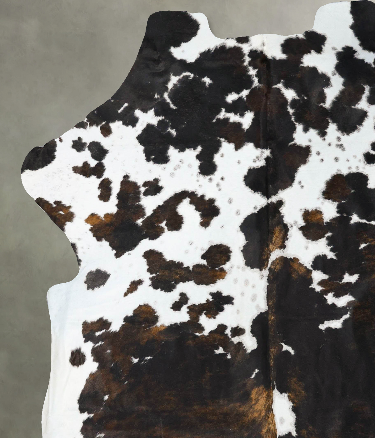 Tricolor XX-Large European Cowhide Rug 8'4"H x 7'2"W #B23648 by Hudson Hides