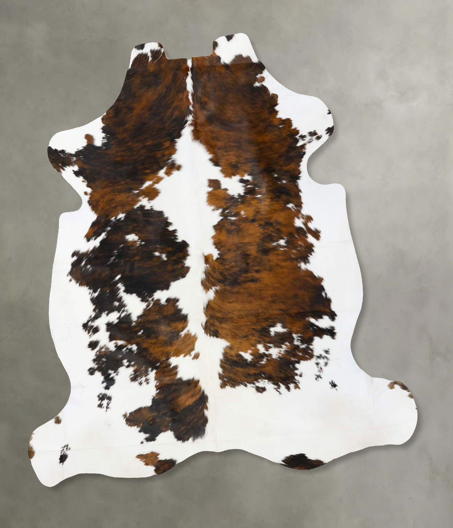 Tricolor Cowhide Rug #B23656