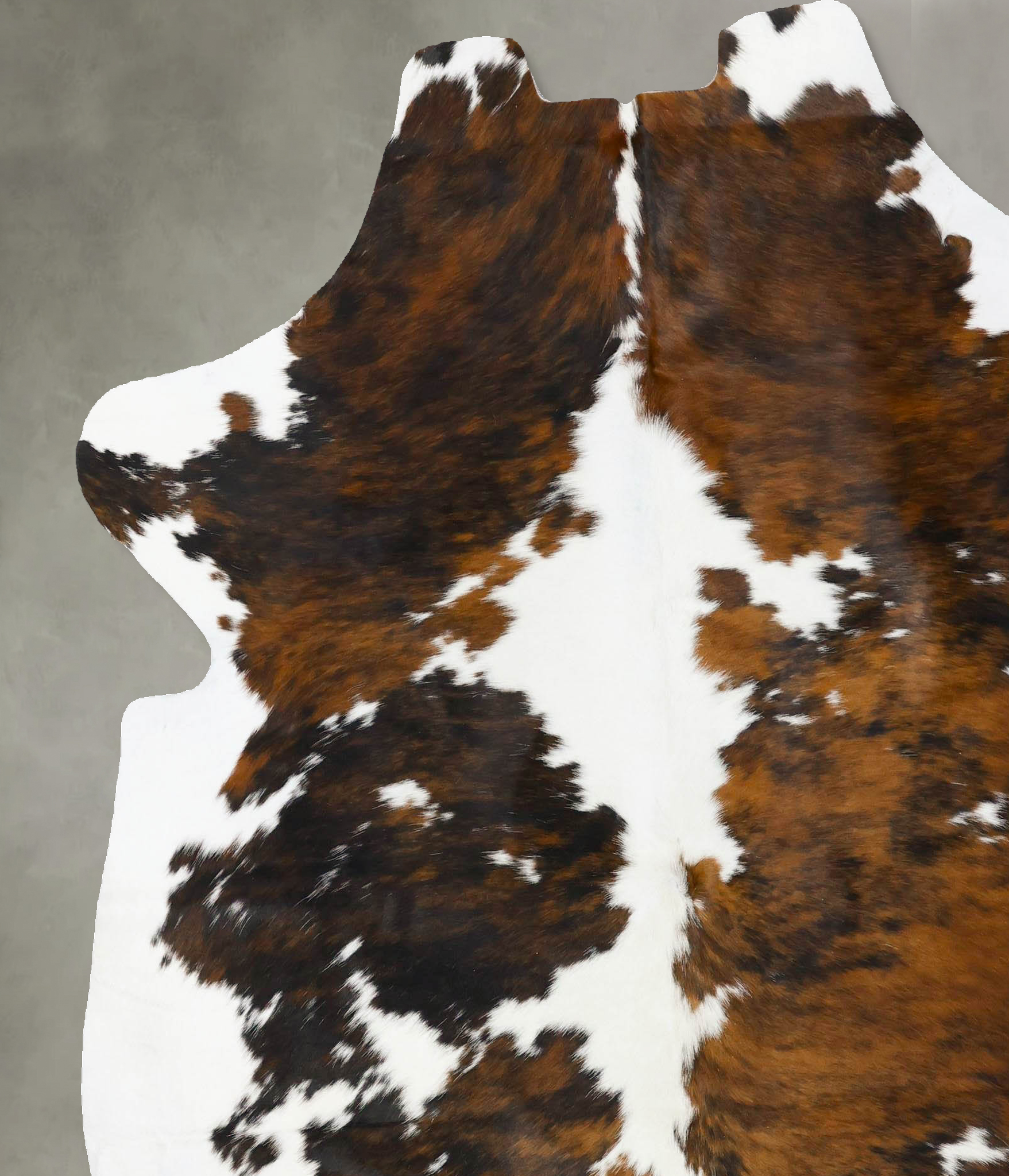 Tricolor Cowhide Rug #B23656