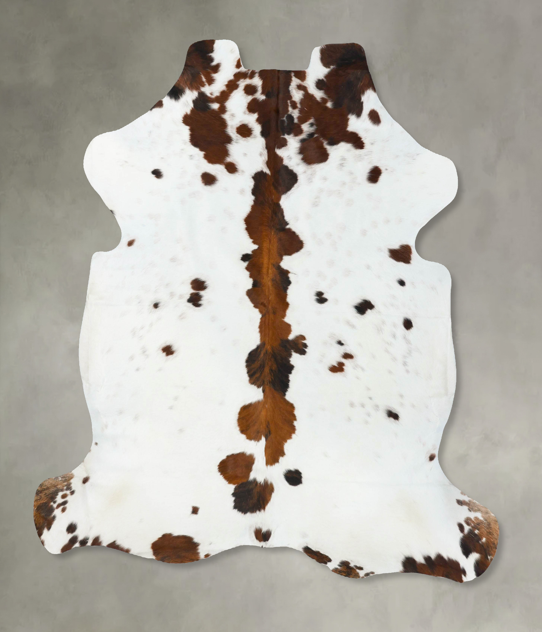 Tricolor Cowhide Rug #B23658