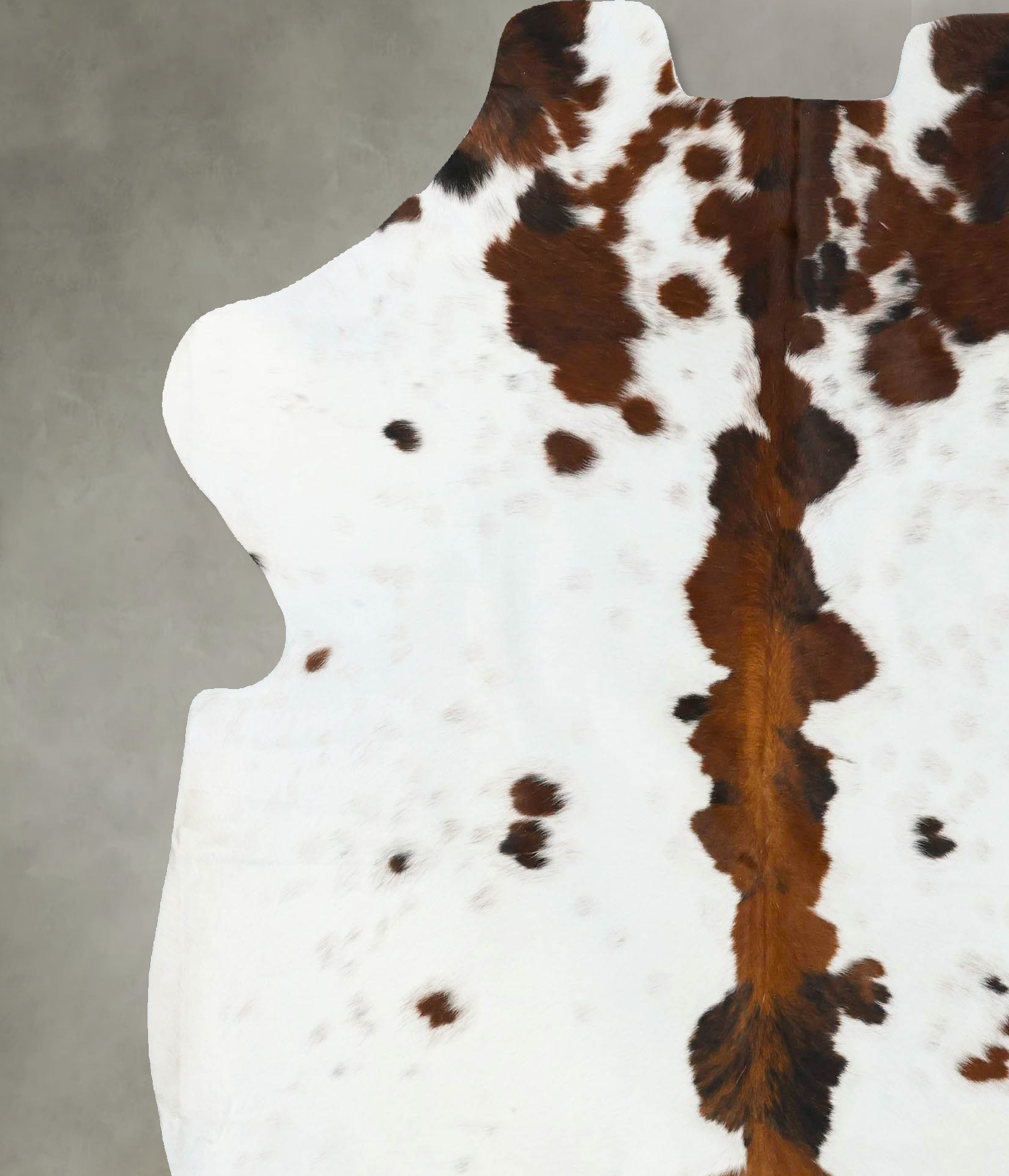 Tricolor Cowhide Rug #B23658