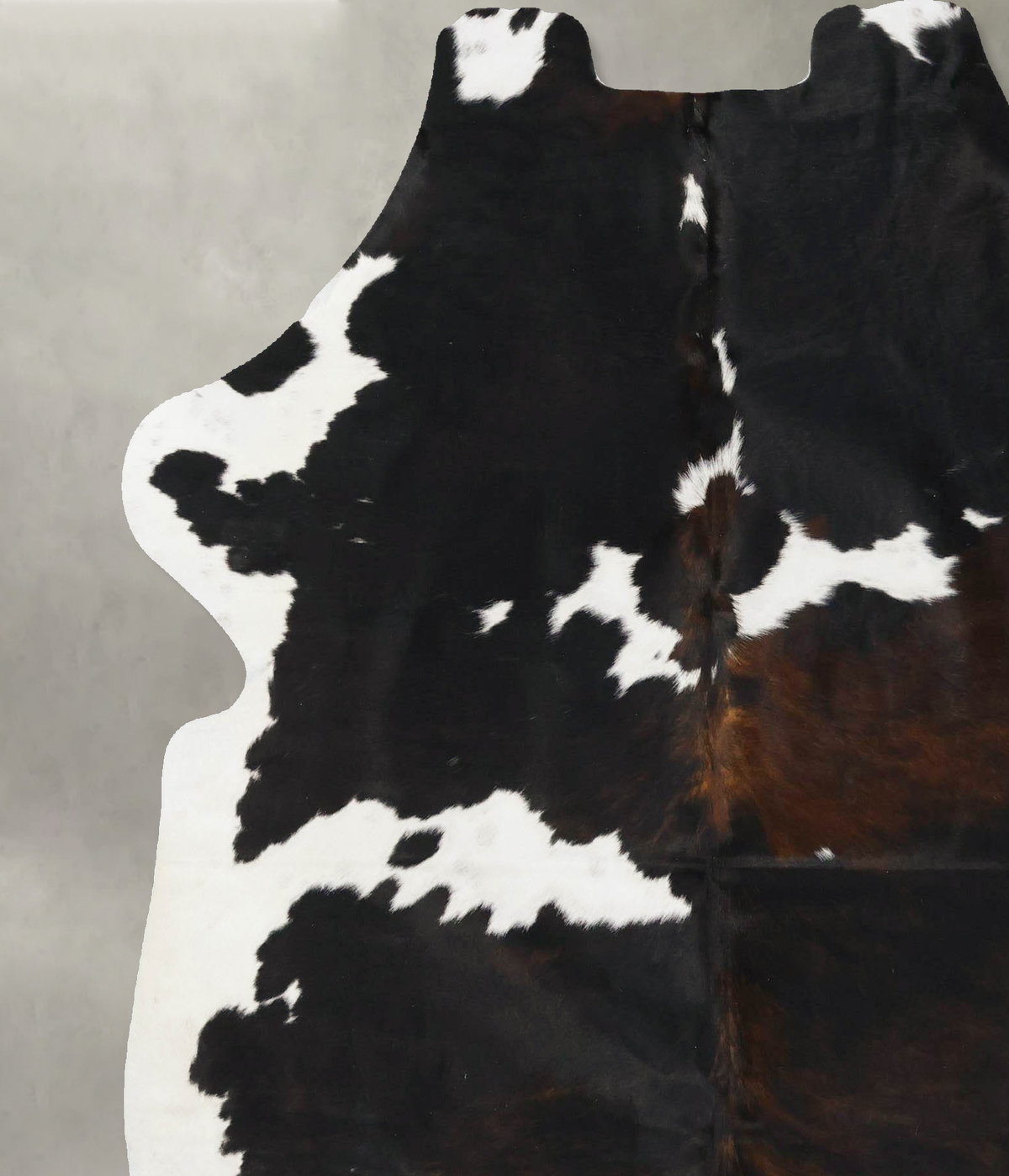 Tricolor X-Large European Cowhide Rug 7'0"H x 6'1"W #B23659 by Hudson Hides
