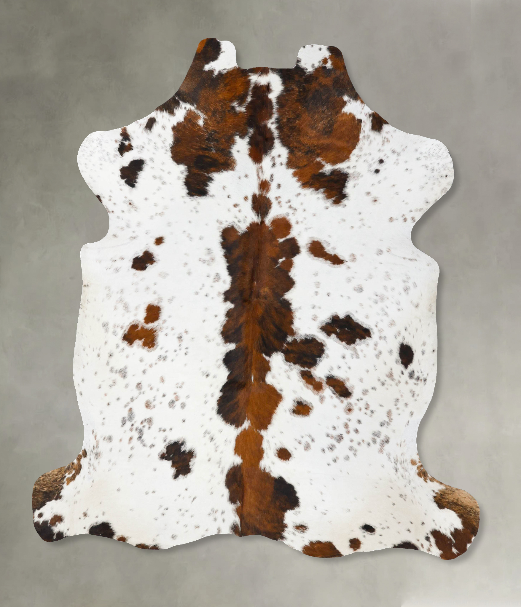Tricolor Cowhide Rug #B23660