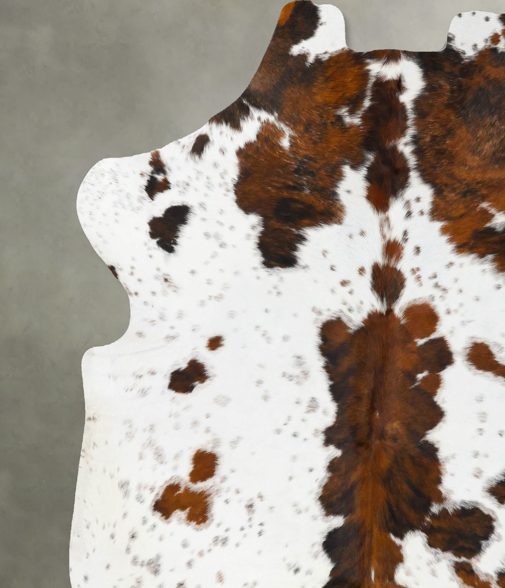 Tricolor Cowhide Rug #B23660