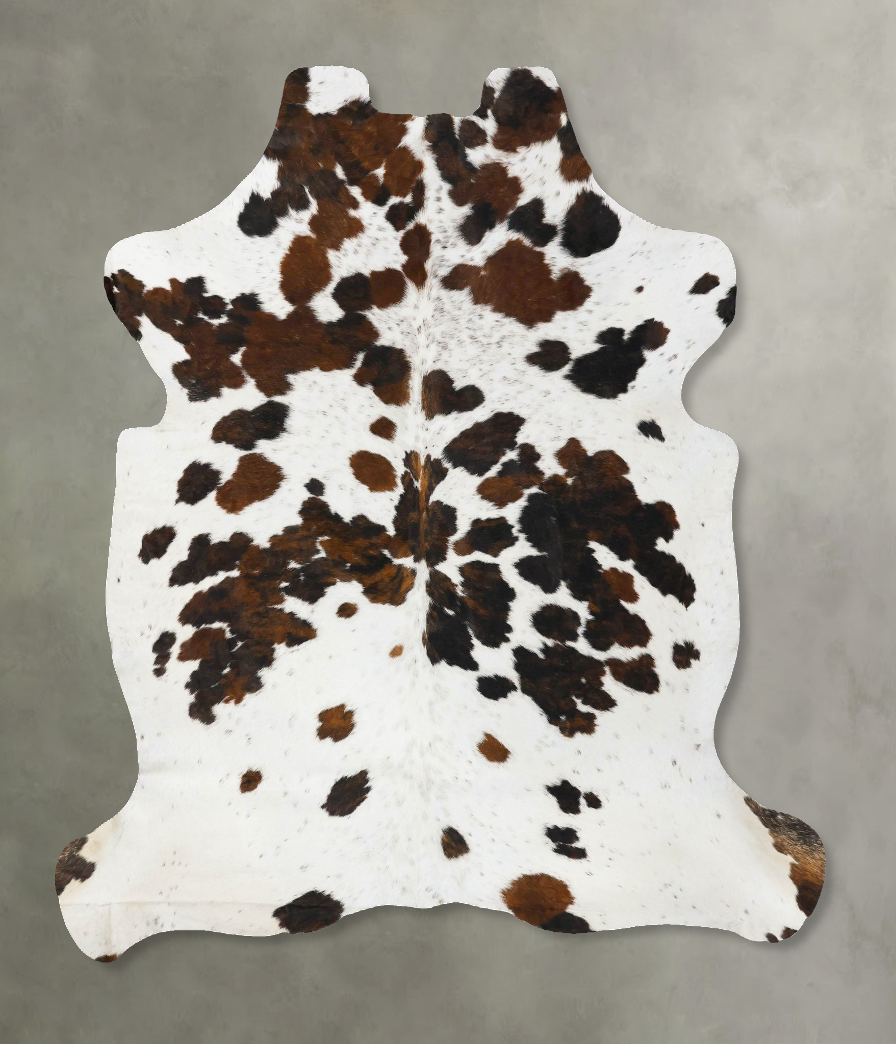 Tricolor Cowhide Rug #B23661