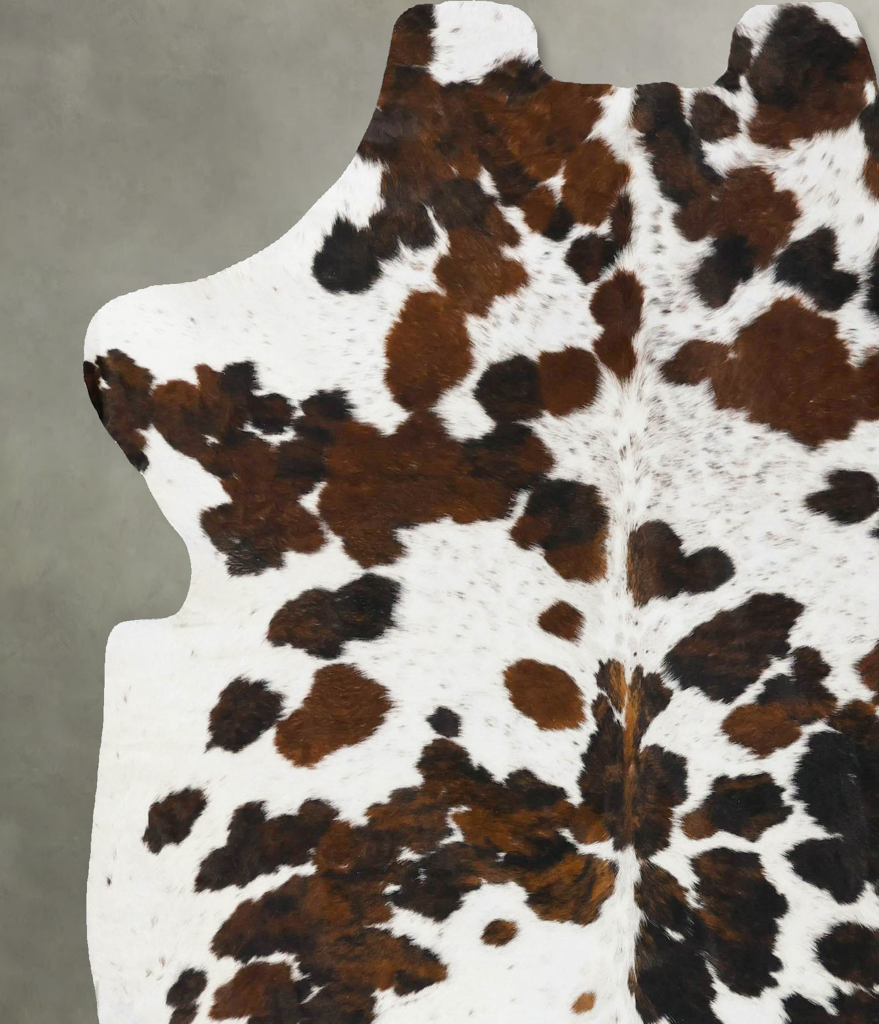 Tricolor Cowhide Rug #B23661