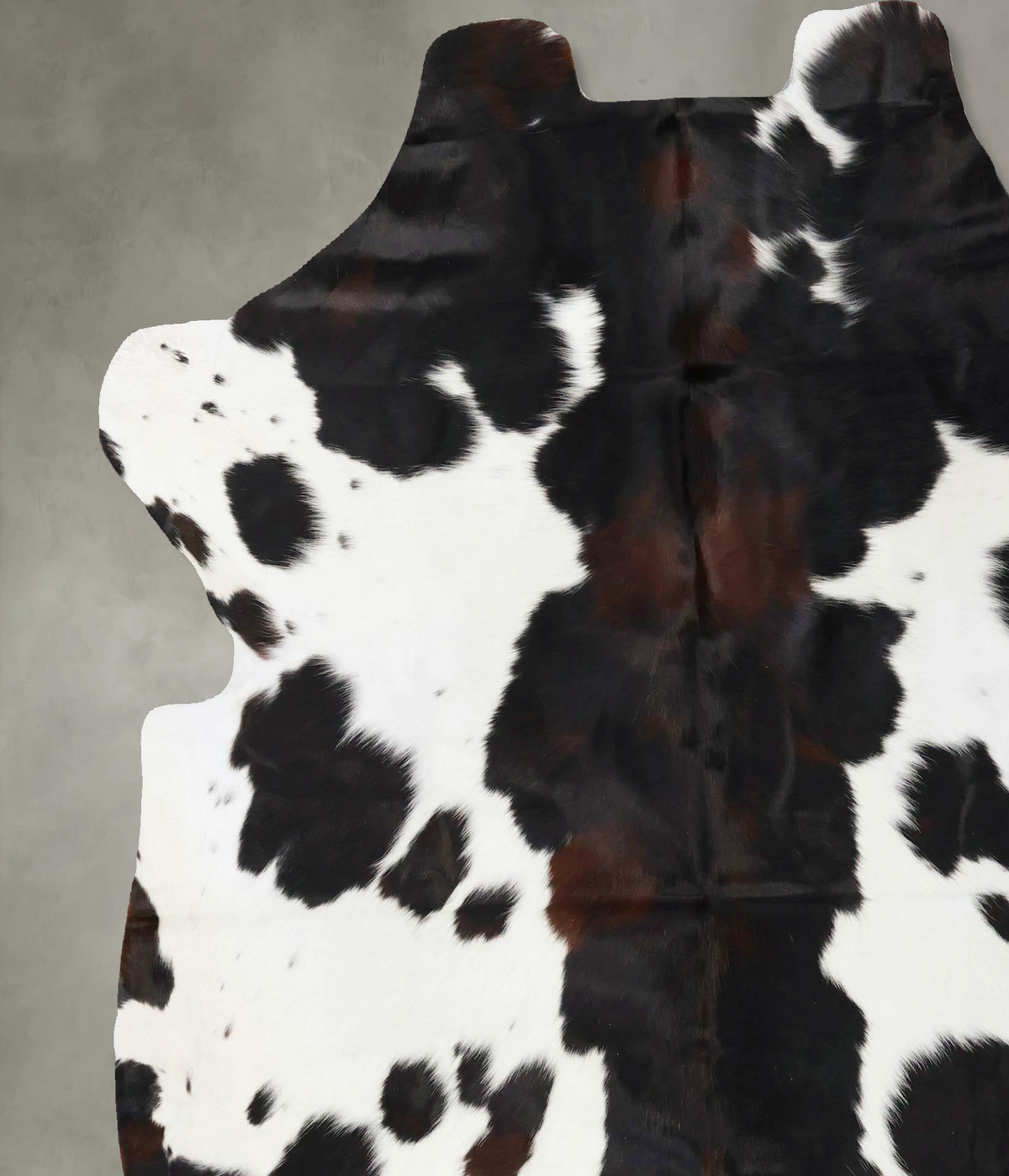 Tricolor X-Large European Cowhide Rug 6'10"H x 6'6"W #B23662 by Hudson Hides