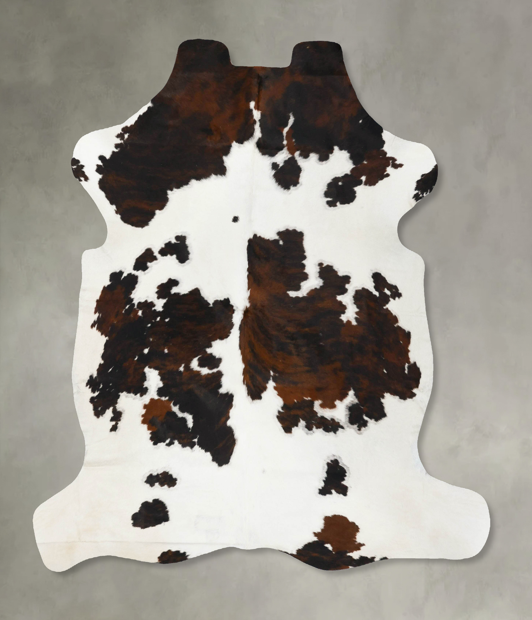 Tricolor Cowhide Rug #B23663