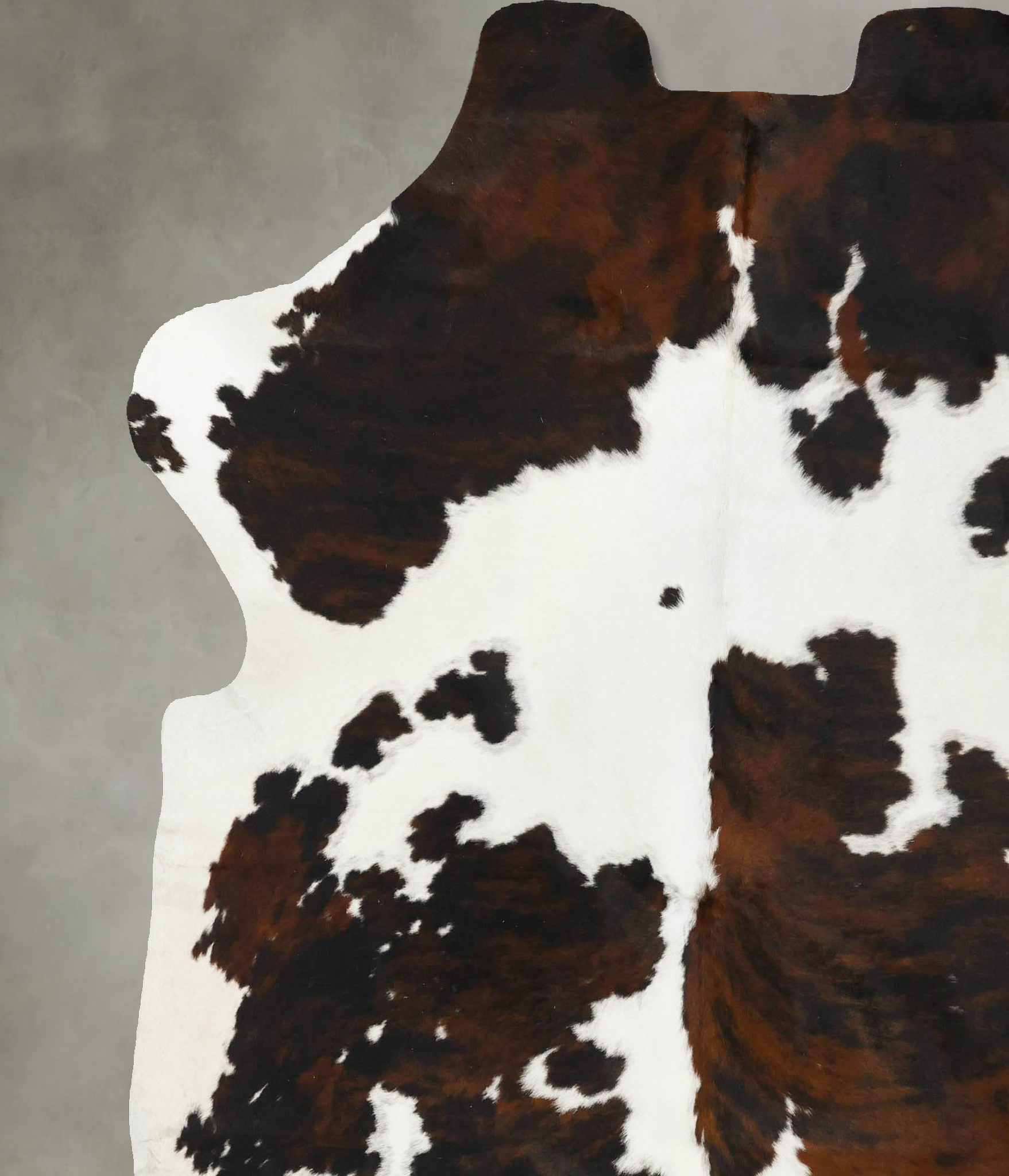 Tricolor Cowhide Rug #B23663