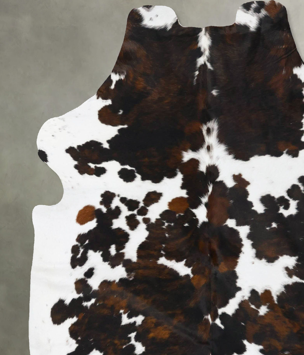 Tricolor X-Large European Cowhide Rug 7'0"H x 6'2"W #B23664 by Hudson Hides