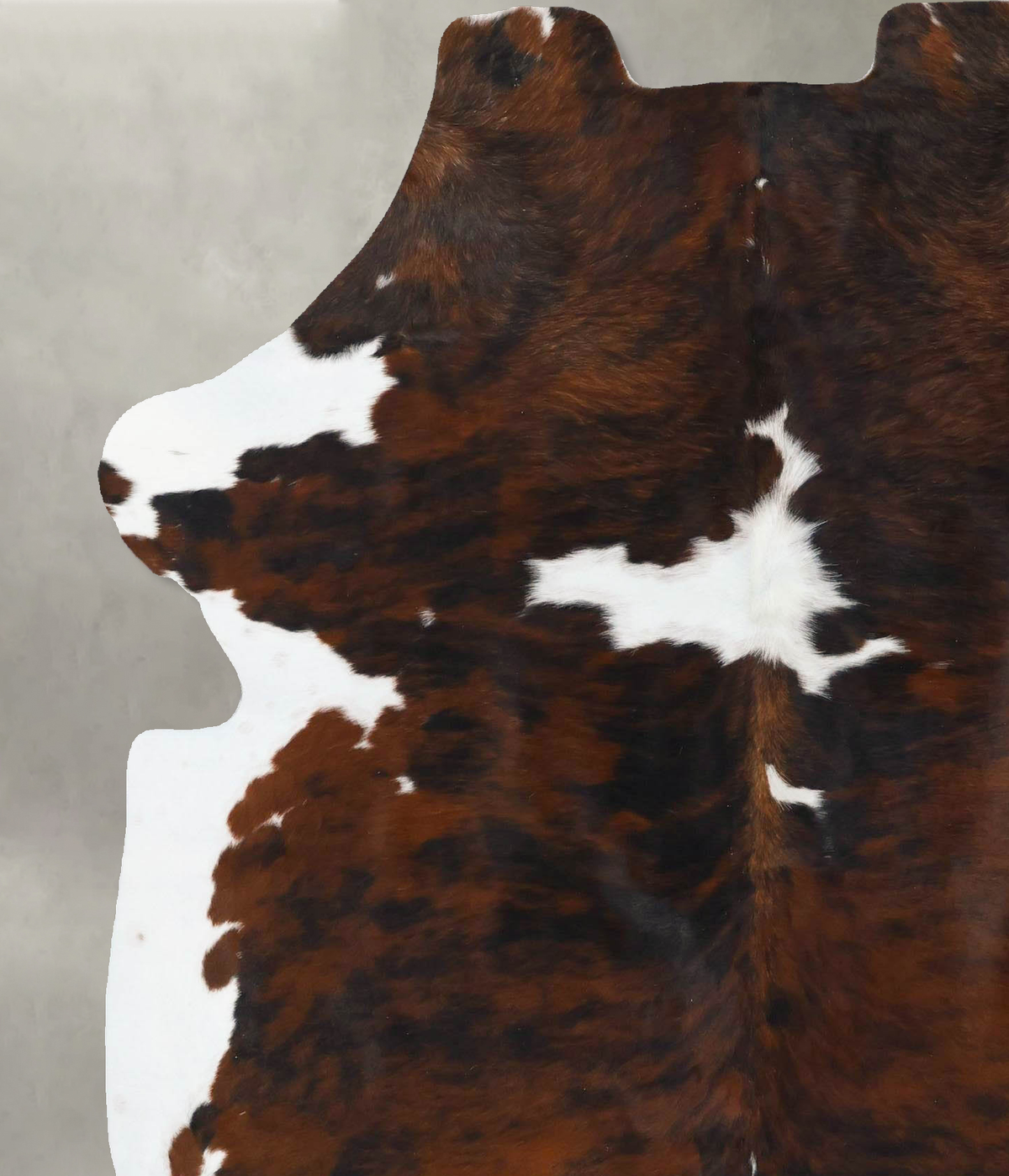 Tricolor X-Large European Cowhide Rug 7'3"H x 5'8"W #B23667 by Hudson Hides