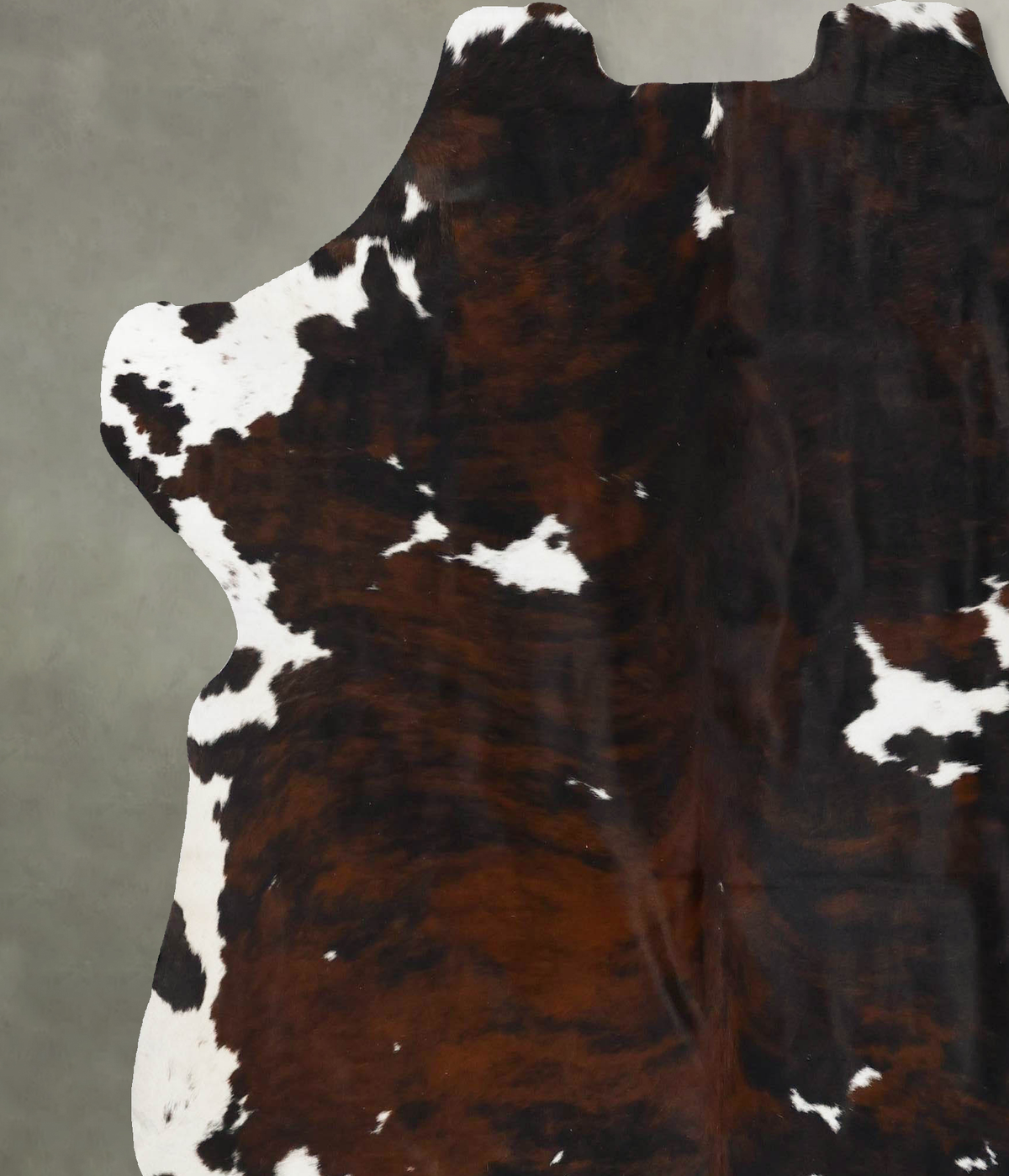 Tricolor X-Large European Cowhide Rug 6'11"H x 6'9"W #B23669 by Hudson Hides