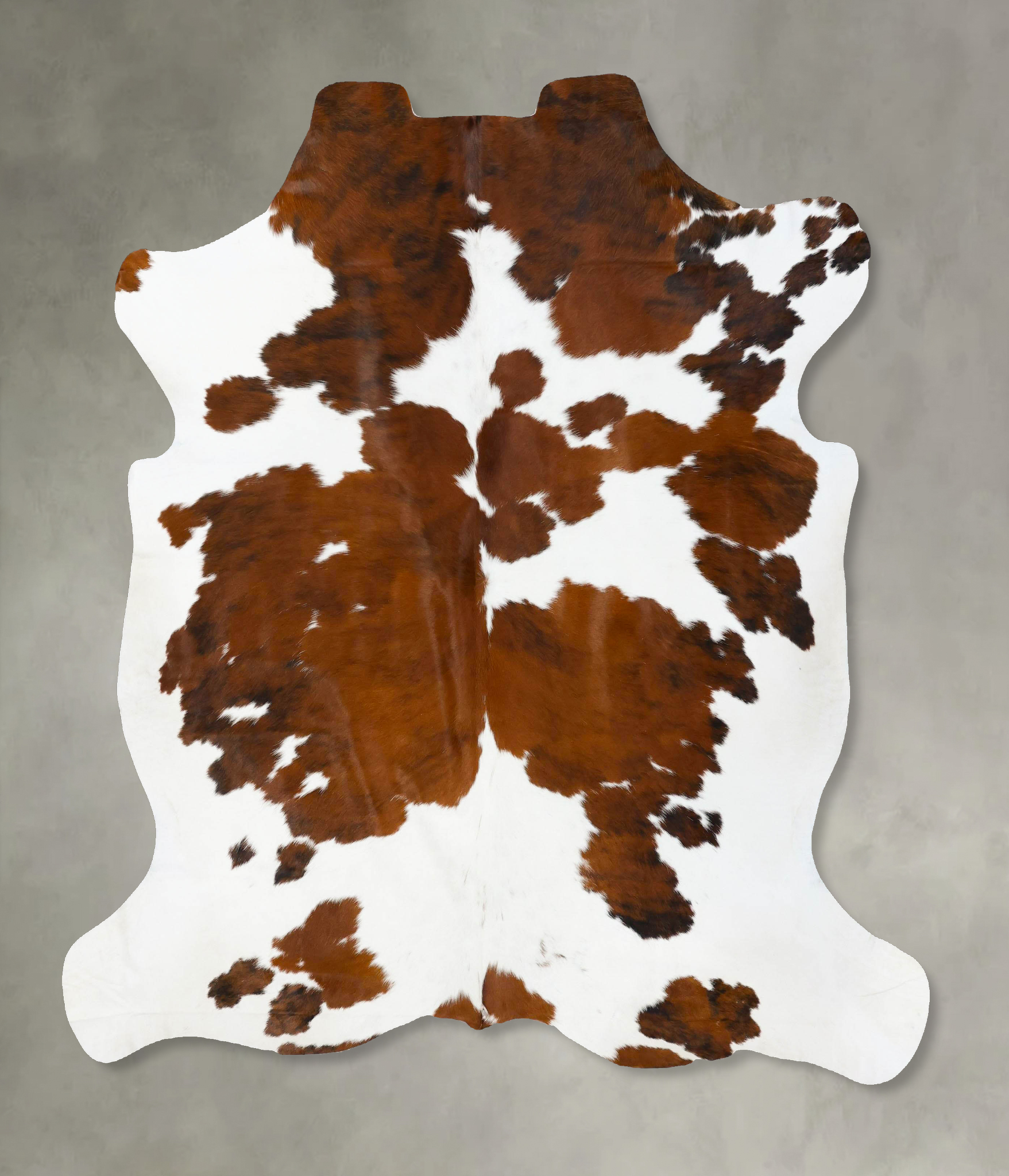Tricolor Cowhide Rug #B23670