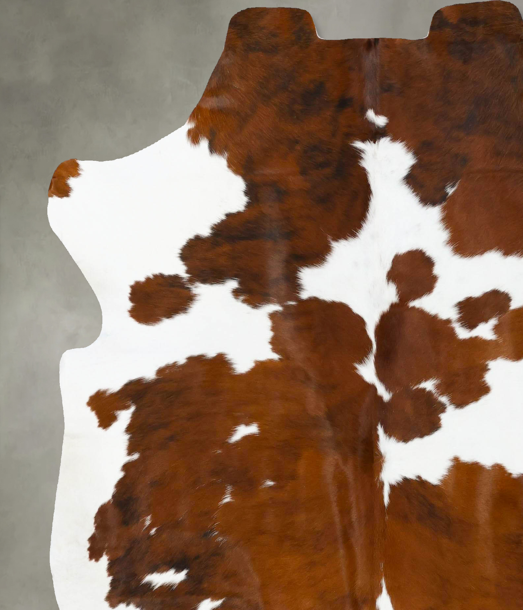 Tricolor Cowhide Rug #B23670