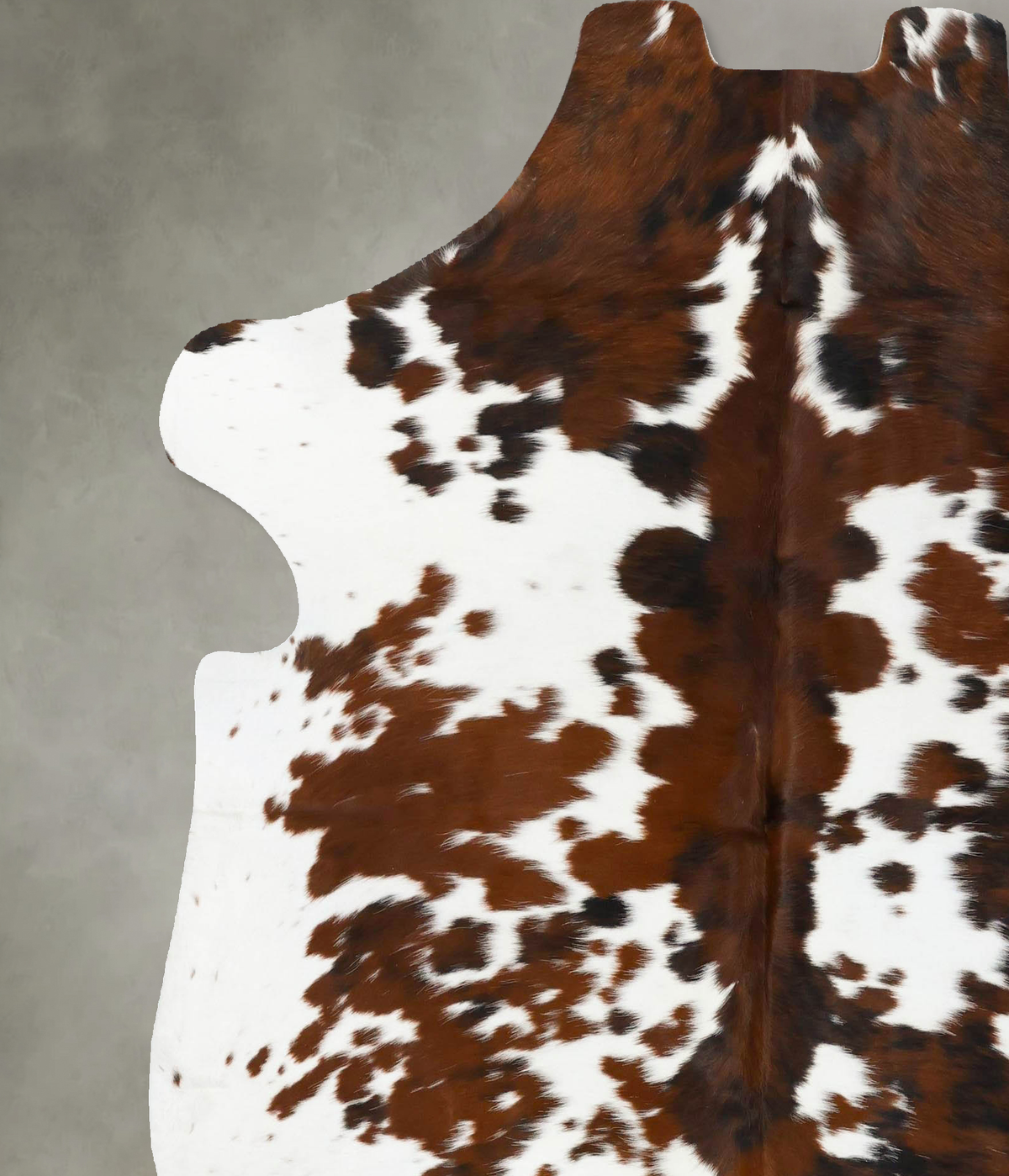 Tricolor X-Large European Cowhide Rug 7'1"H x 6'4"W #B23675 by Hudson Hides