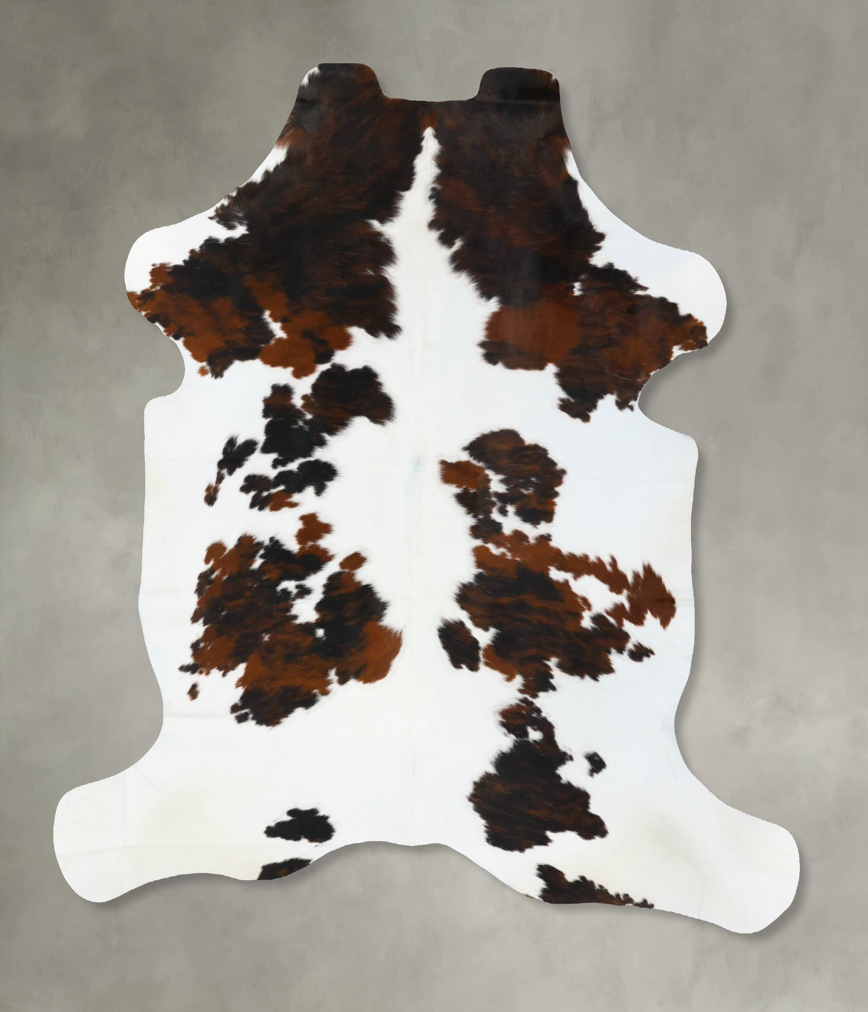 Tricolor Cowhide Rug #B23677