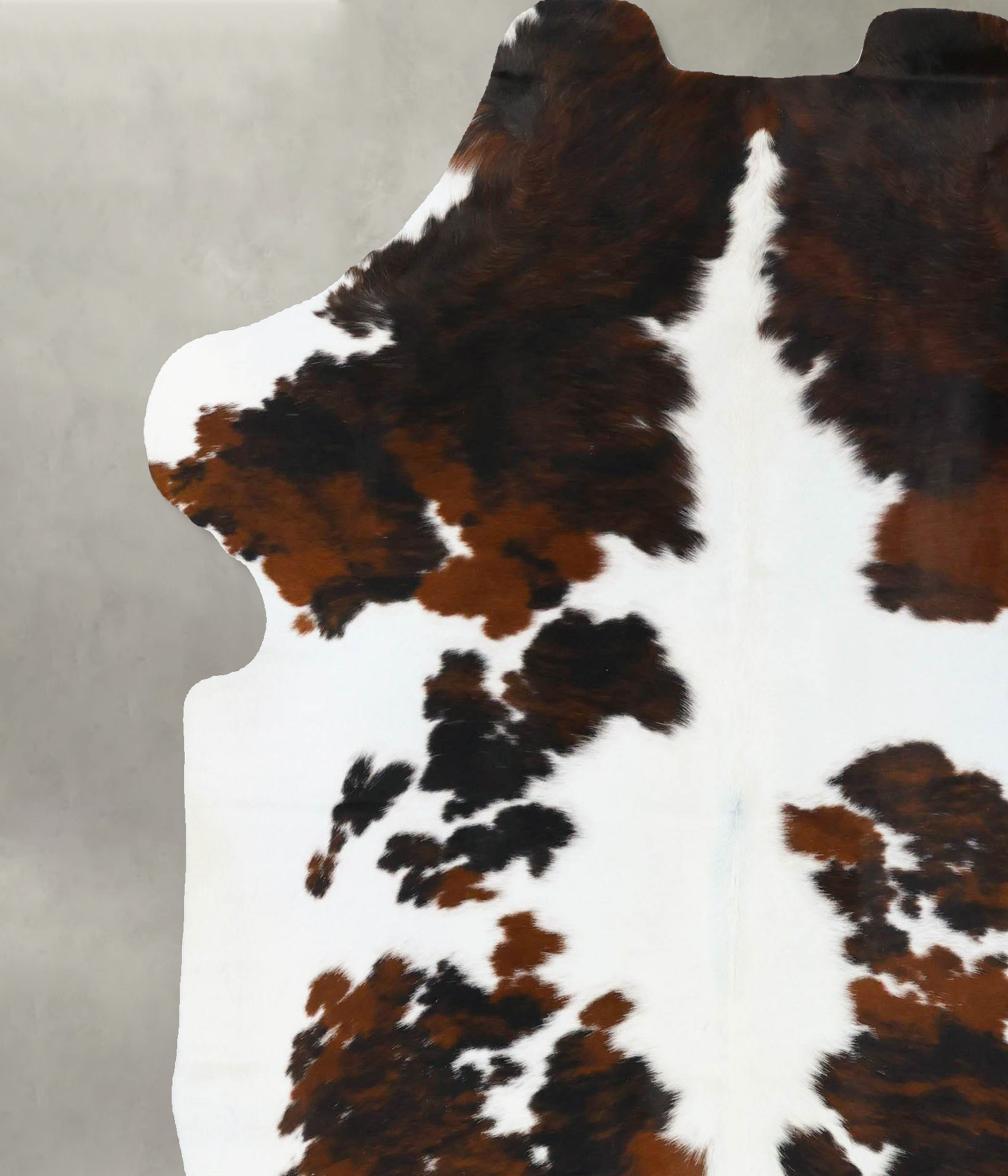 Tricolor Cowhide Rug #B23677