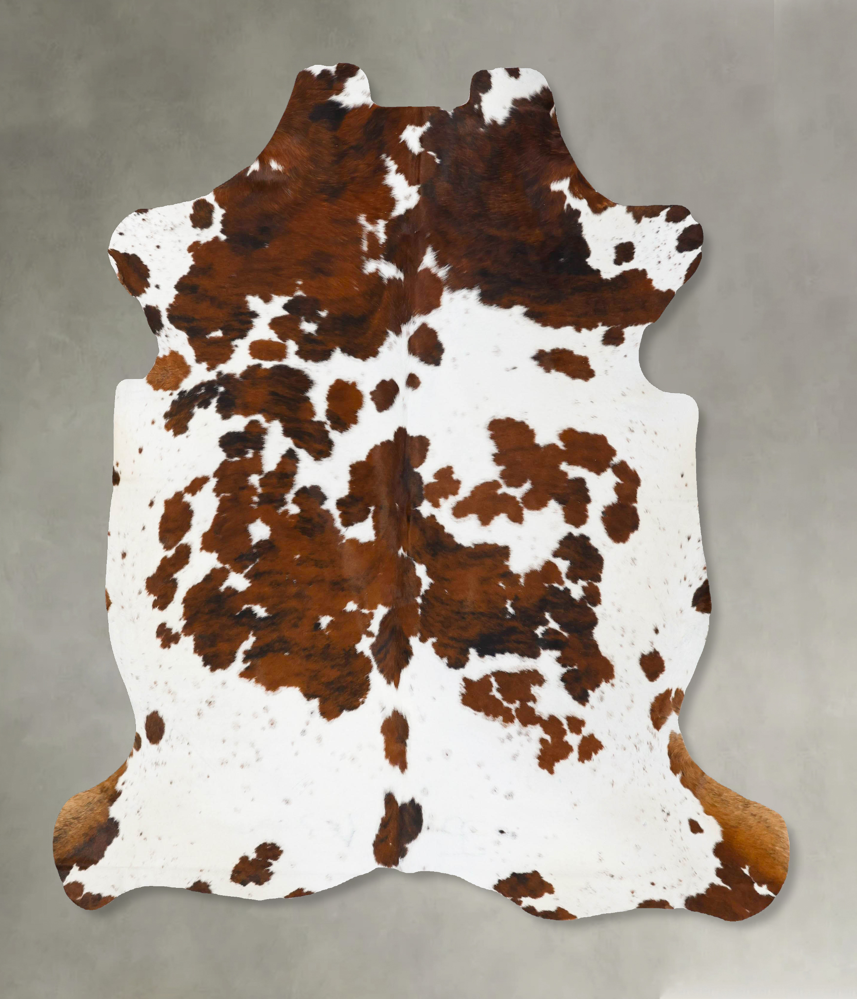 Tricolor Cowhide Rug #B23678