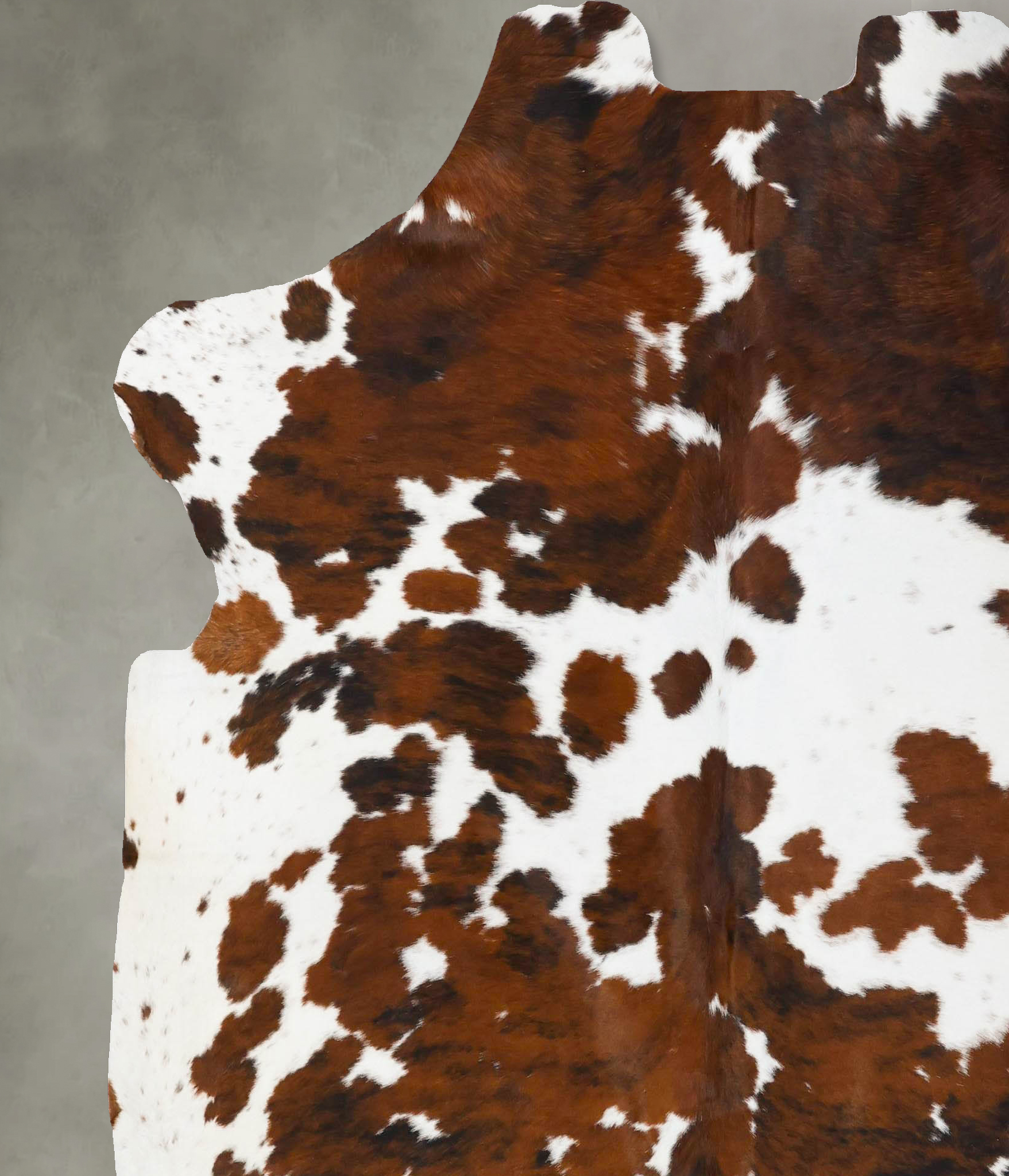 Tricolor Cowhide Rug #B23678