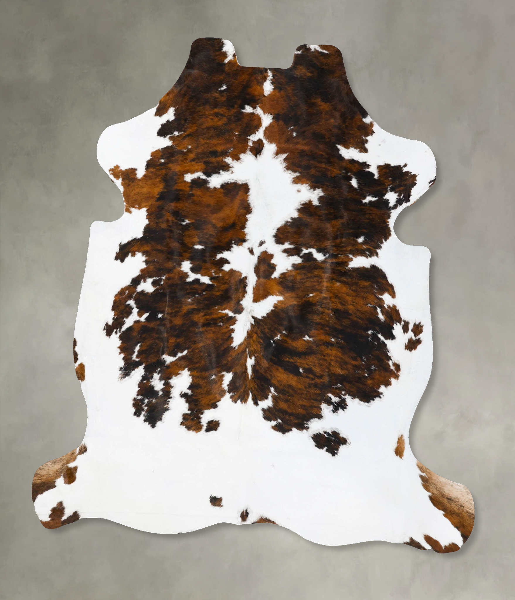 Tricolor Cowhide Rug #B23679