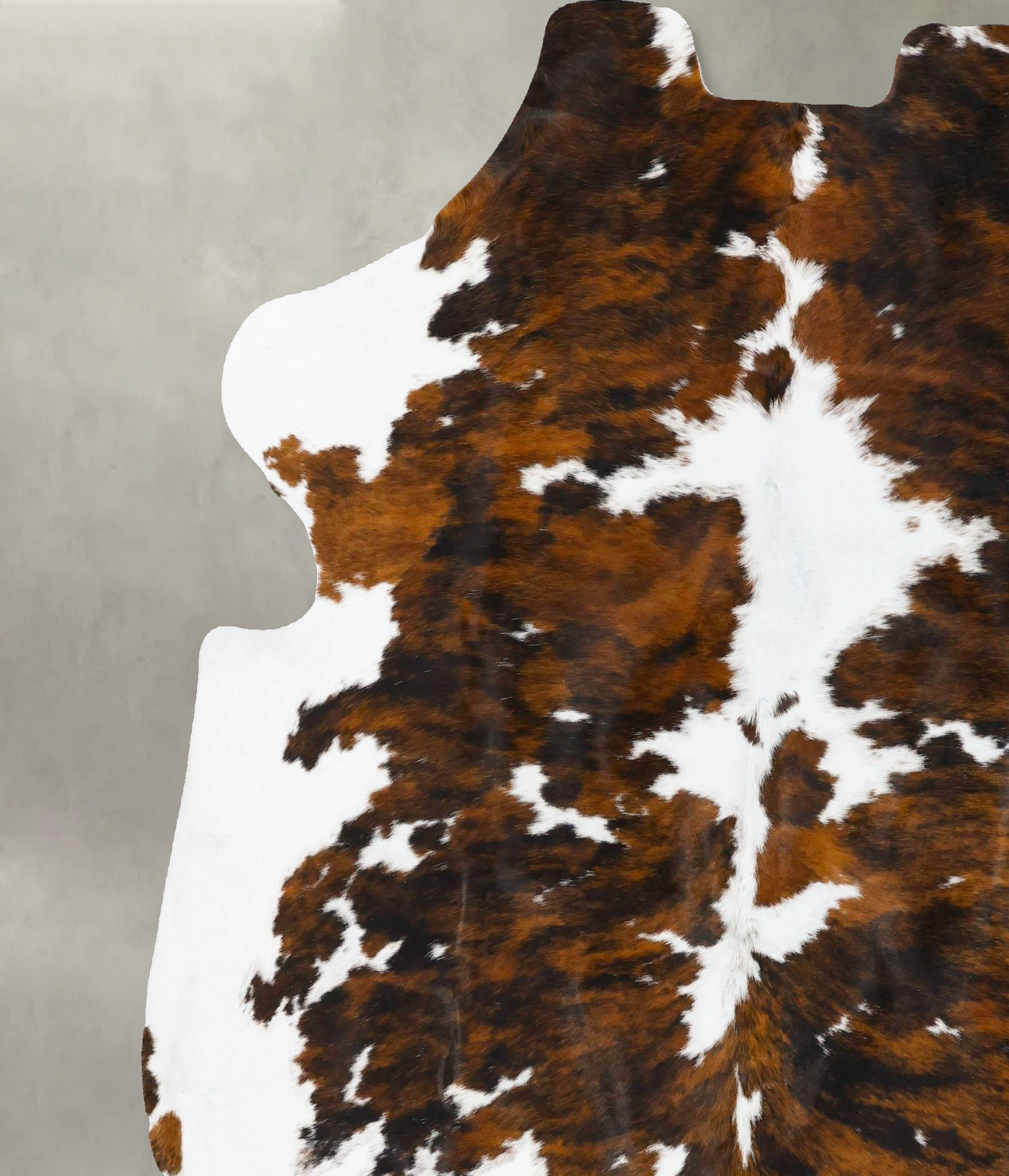 Tricolor Cowhide Rug #B23679