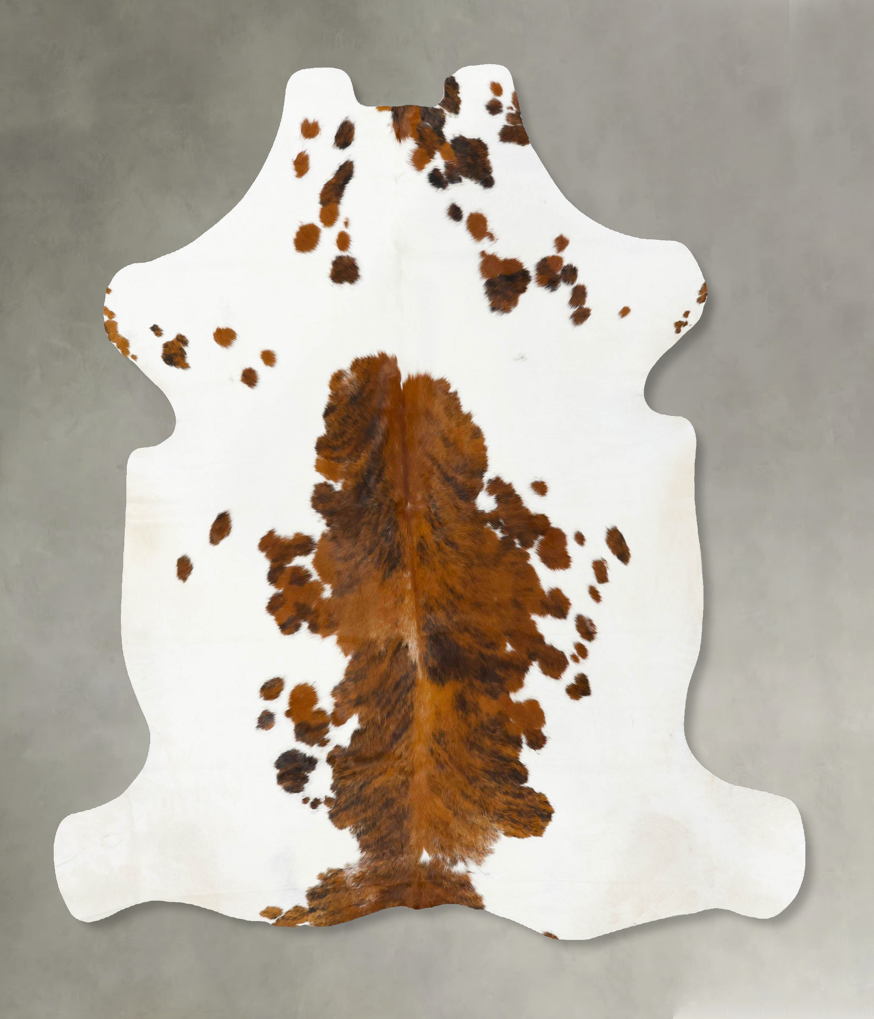 Tricolor Cowhide Rug #B23681