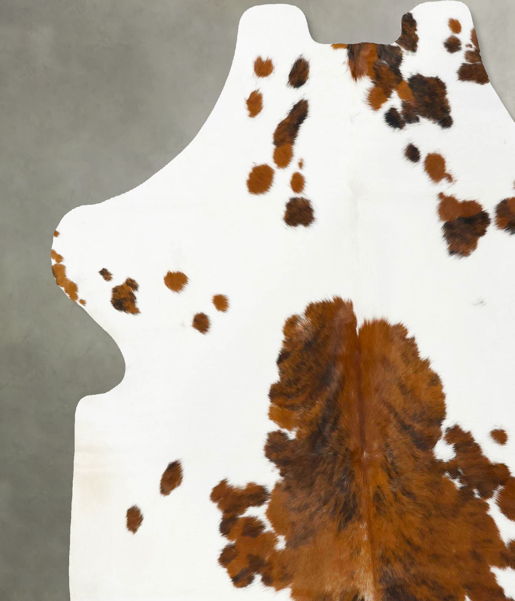 Tricolor Cowhide Rug #B23681