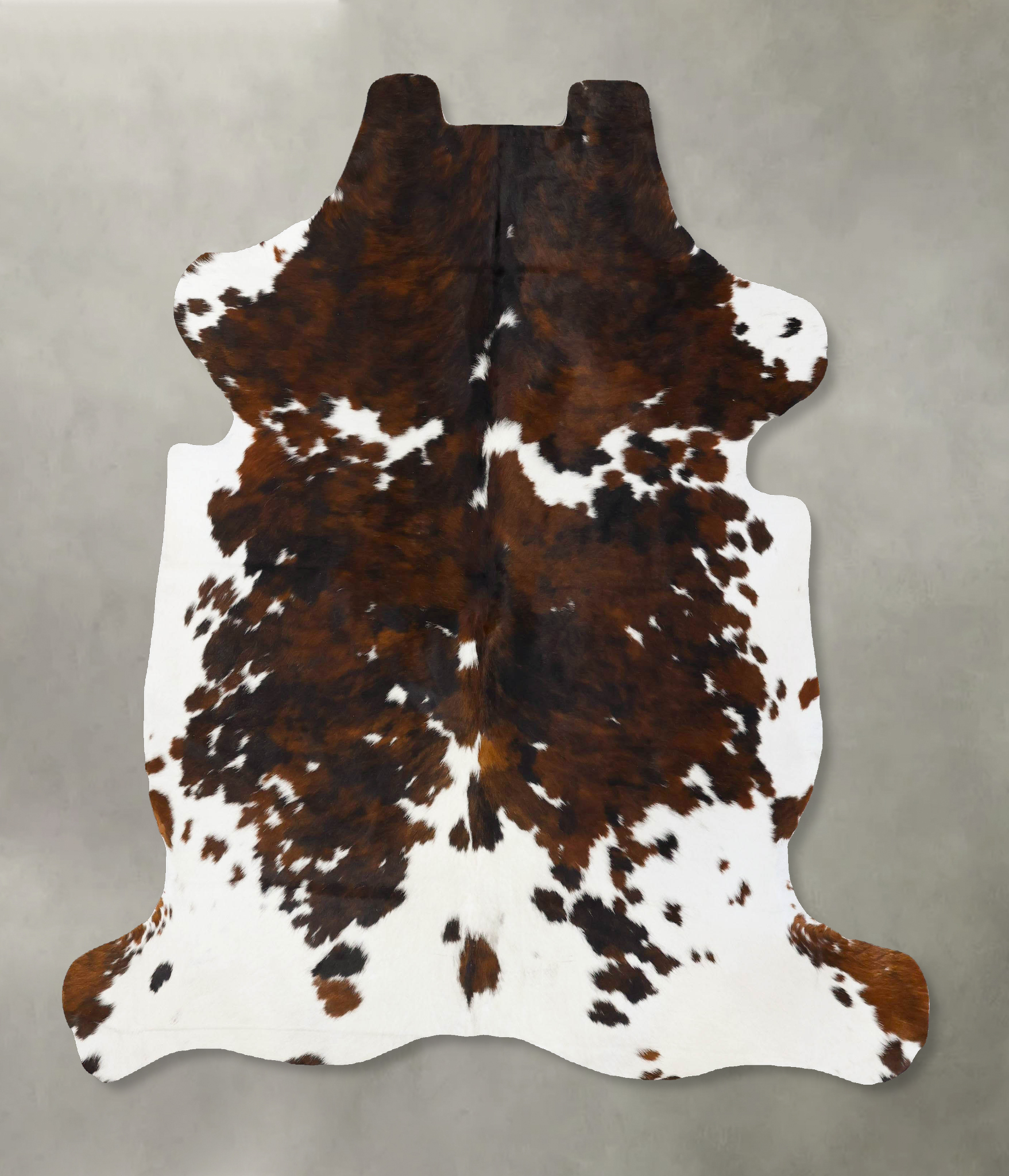 Tricolor Cowhide Rug #B23683