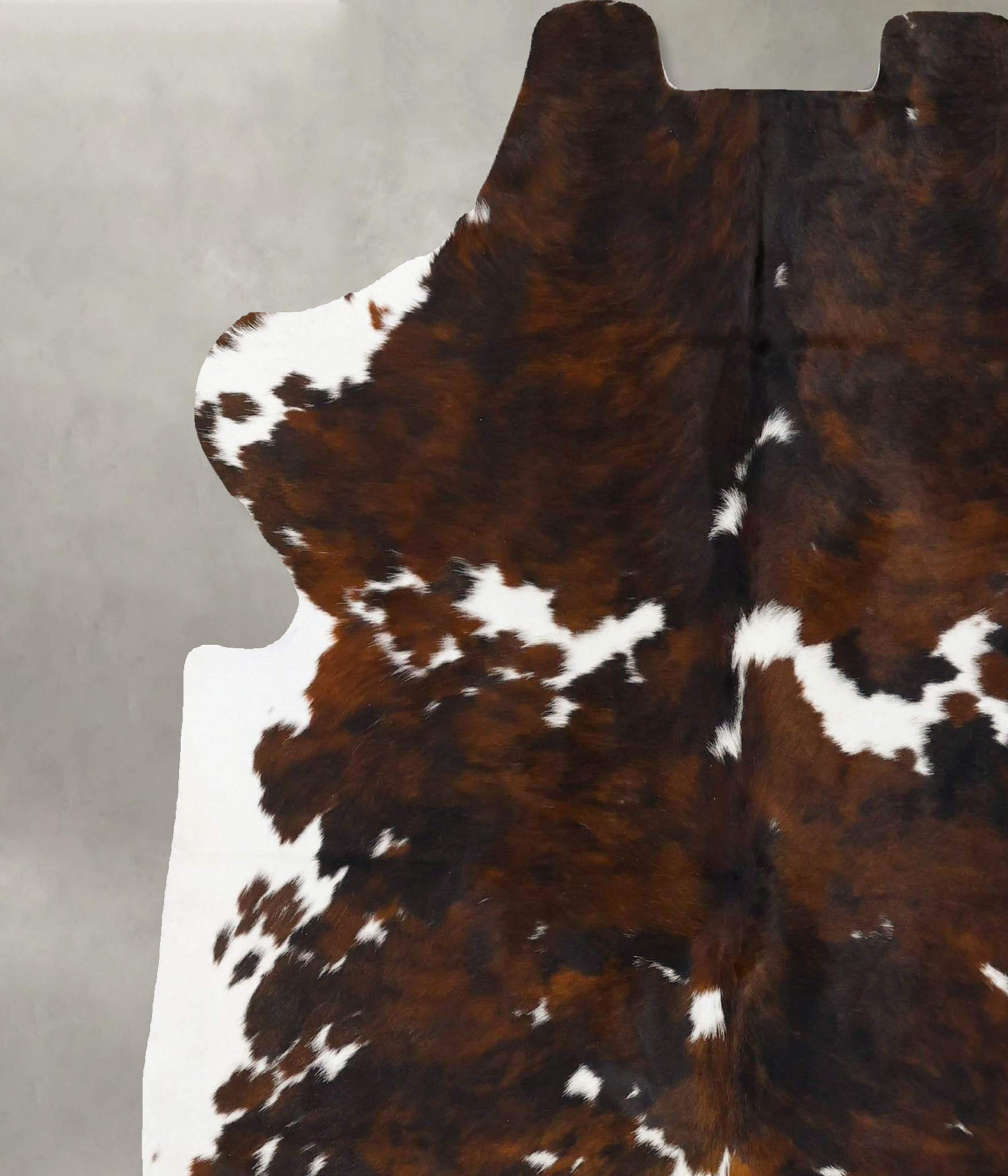 Tricolor Cowhide Rug #B23683