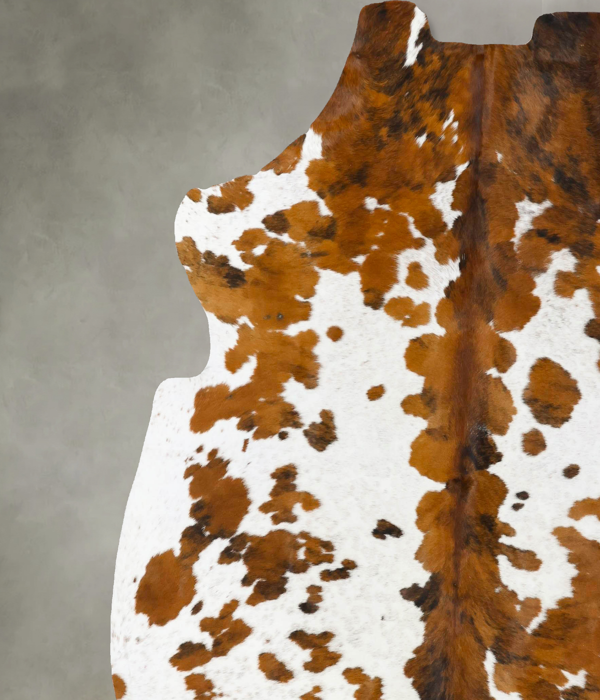 Tricolor XX-Large European Cowhide Rug 7'6"H x 6'11"W #B23684 by Hudson Hides