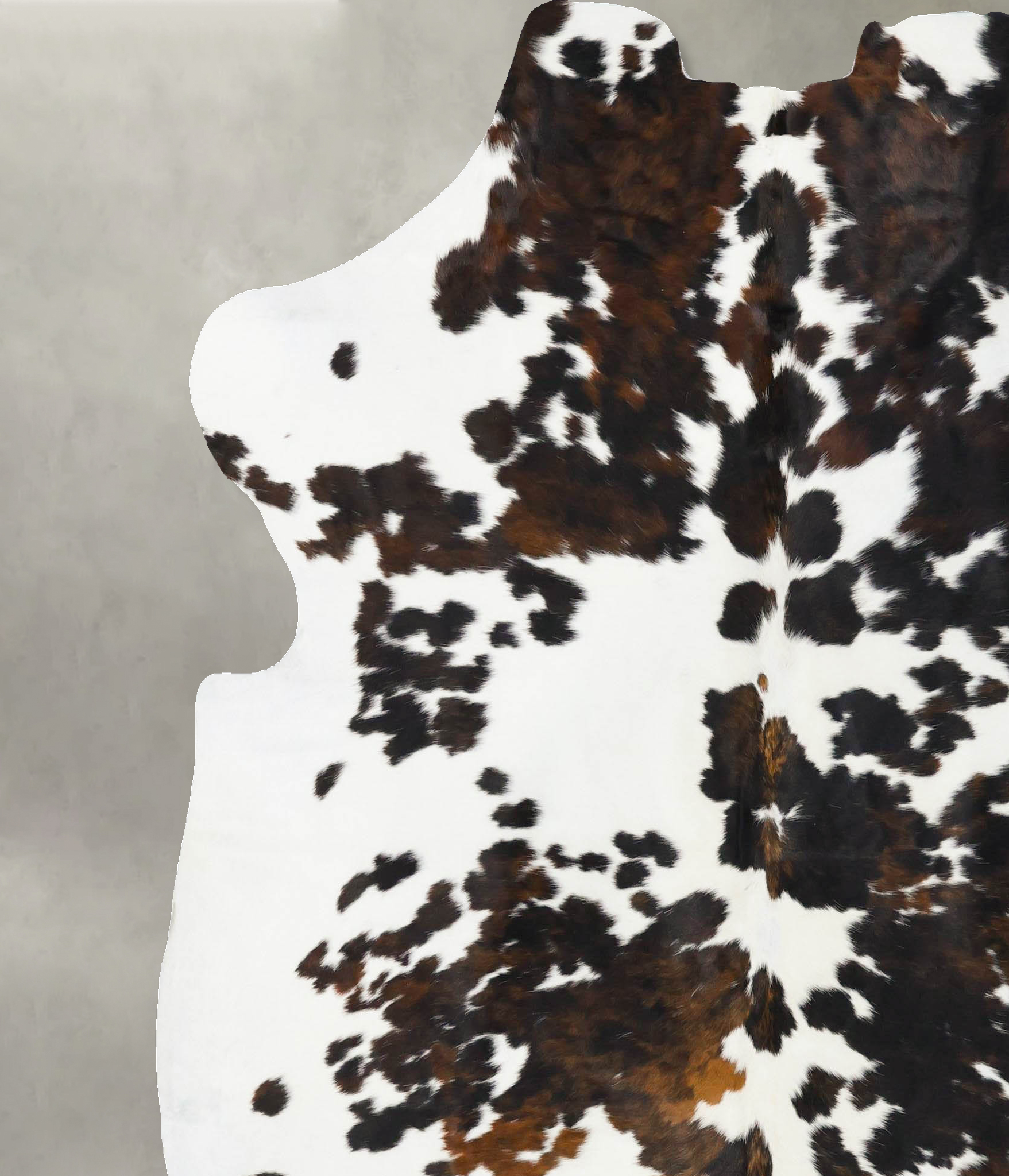 Tricolor Cowhide Rug #B23685