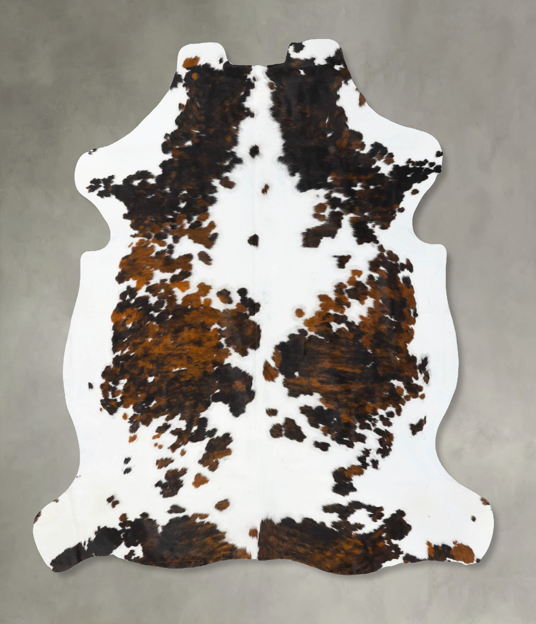 Tricolor Cowhide Rug #B23695