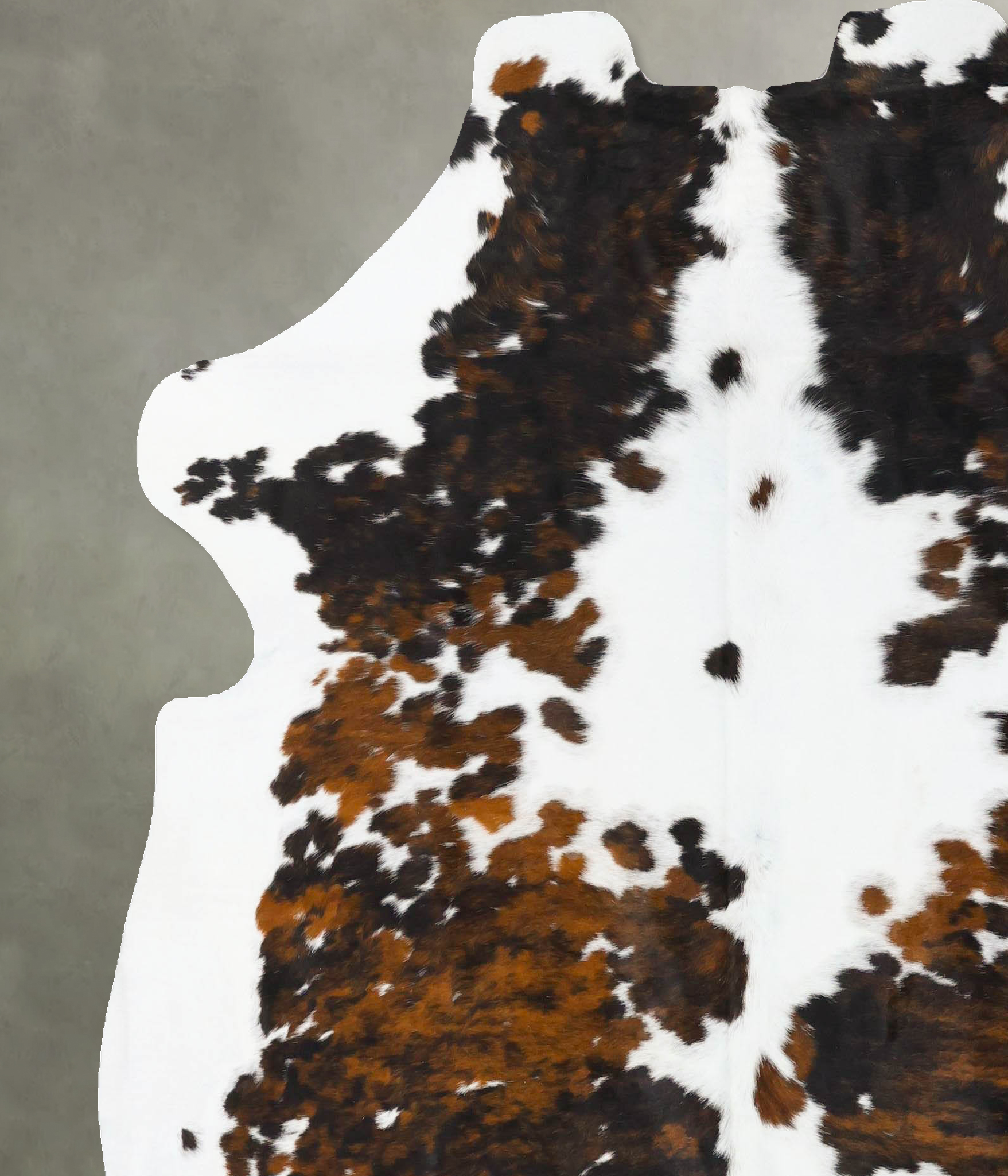 Tricolor Cowhide Rug #B23695