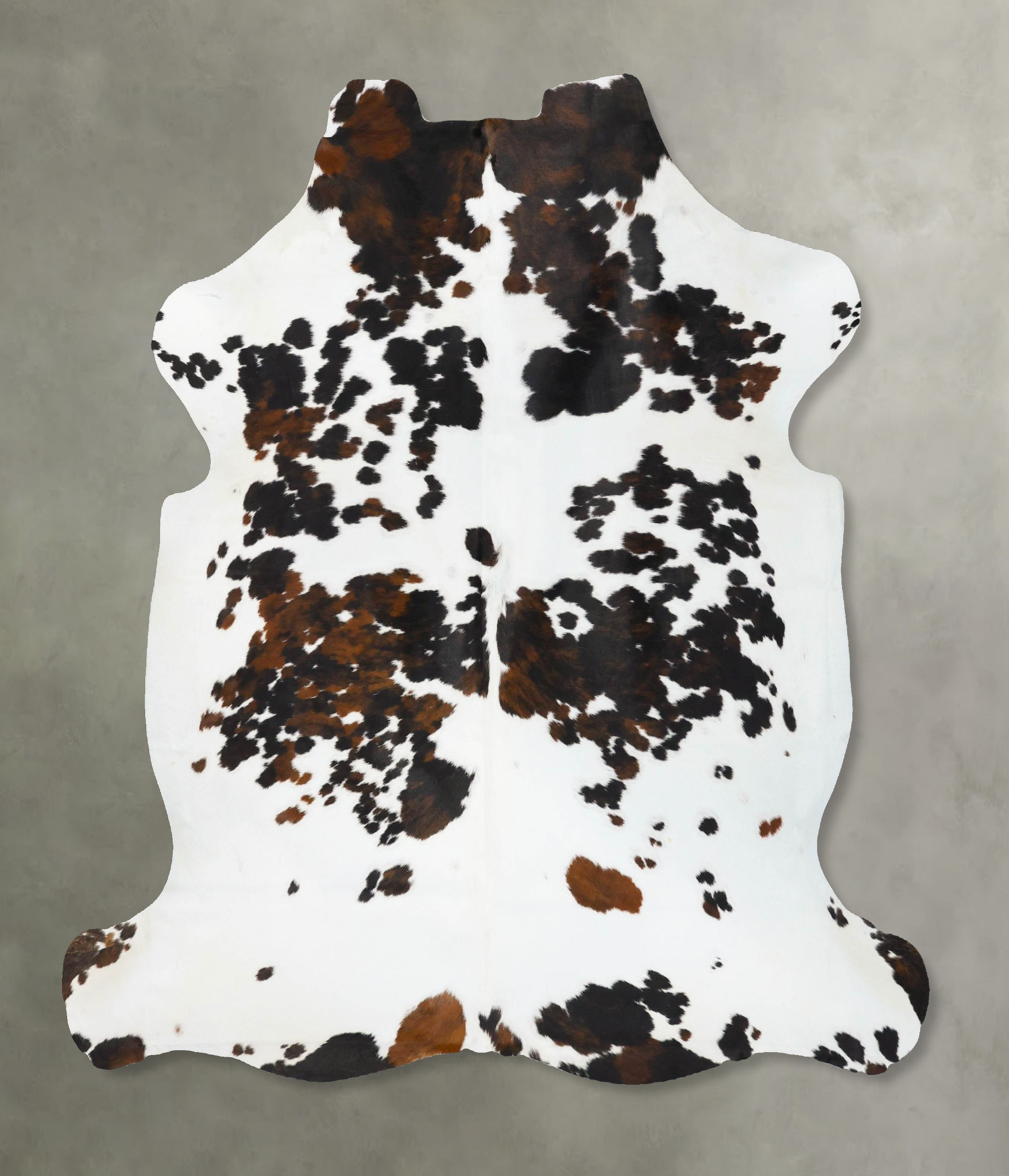 Tricolor Cowhide Rug #B23696