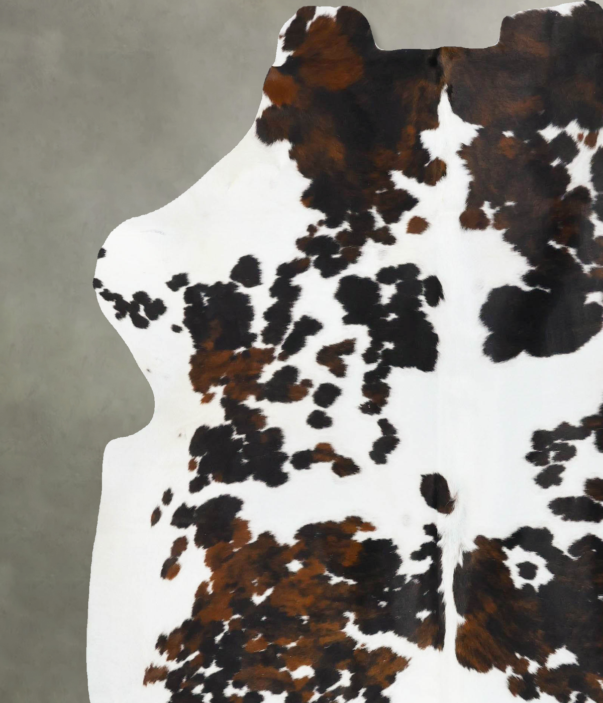 Tricolor X-Large European Cowhide Rug 6'11"H x 6'4"W #B23696 by Hudson Hides