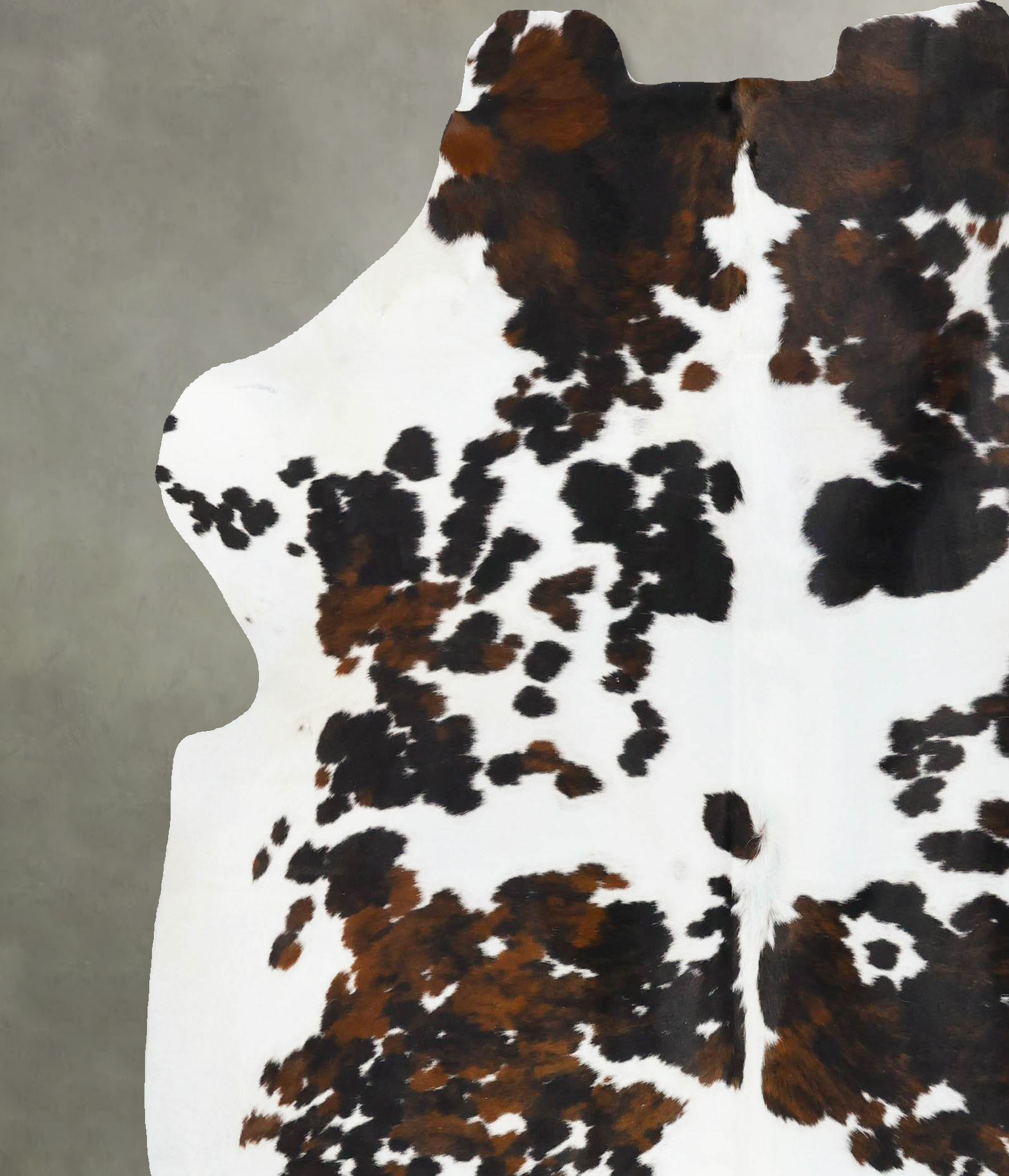 Tricolor Cowhide Rug #B23696