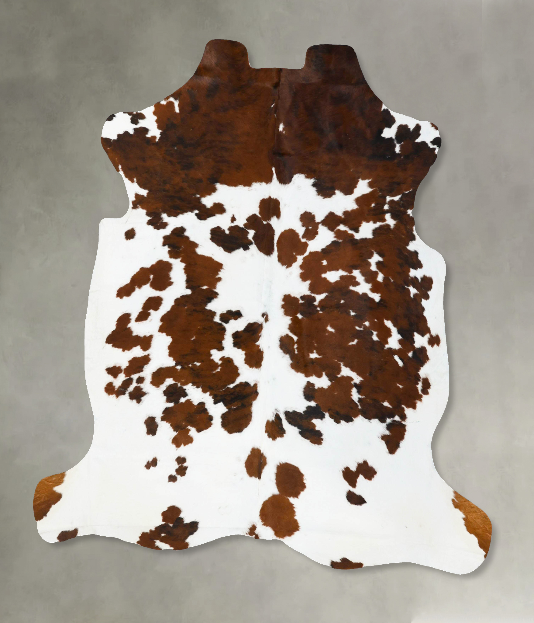 Tricolor Cowhide Rug #B23697