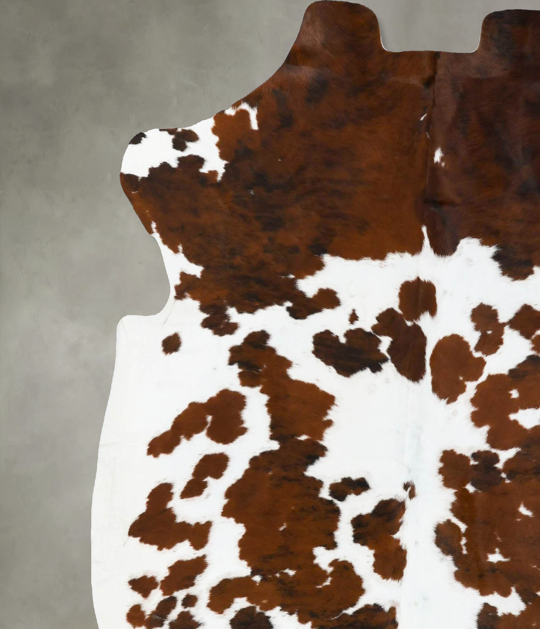 Tricolor Cowhide Rug #B23697